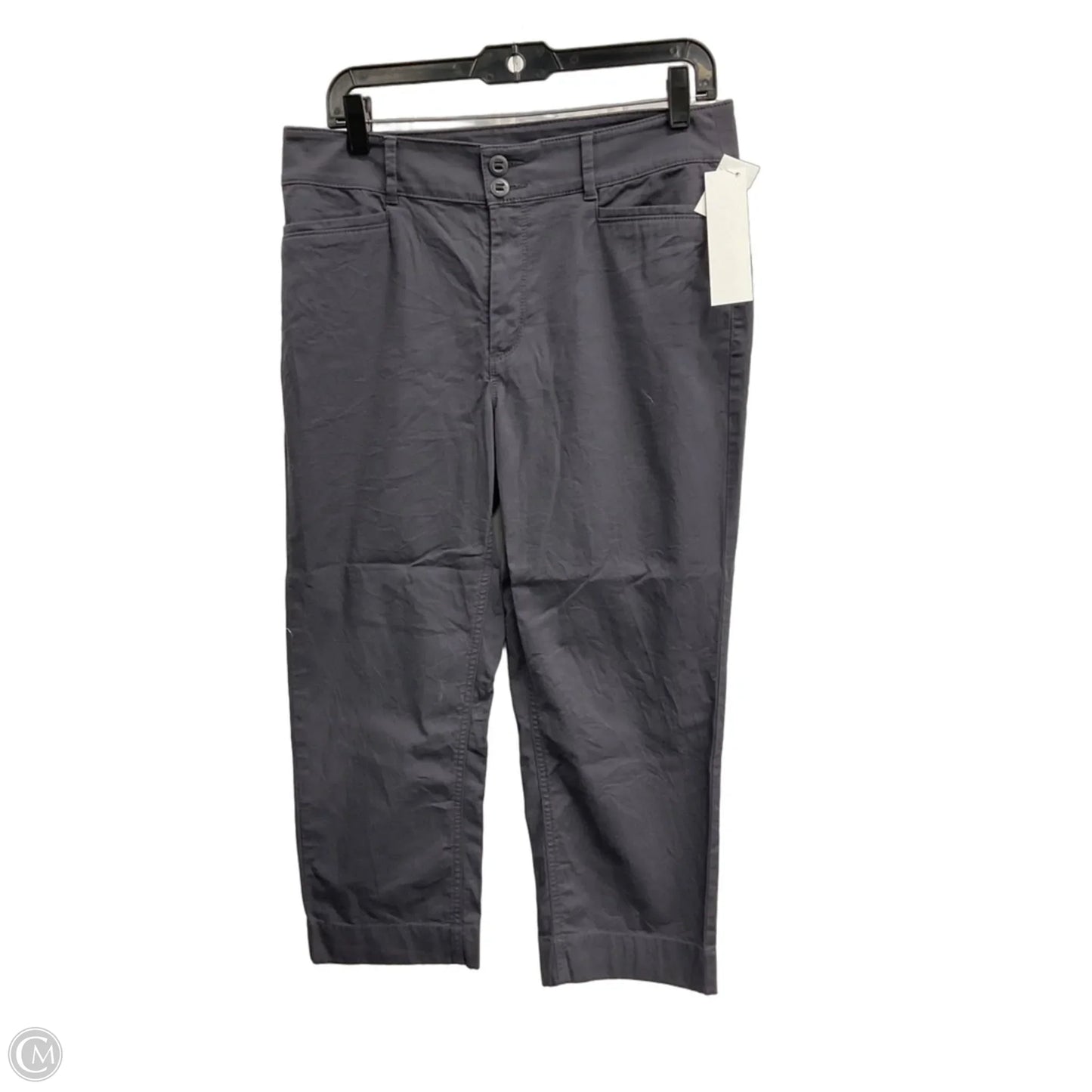 Pants Chinos & Khakis By Loft In Grey, Size: 10p