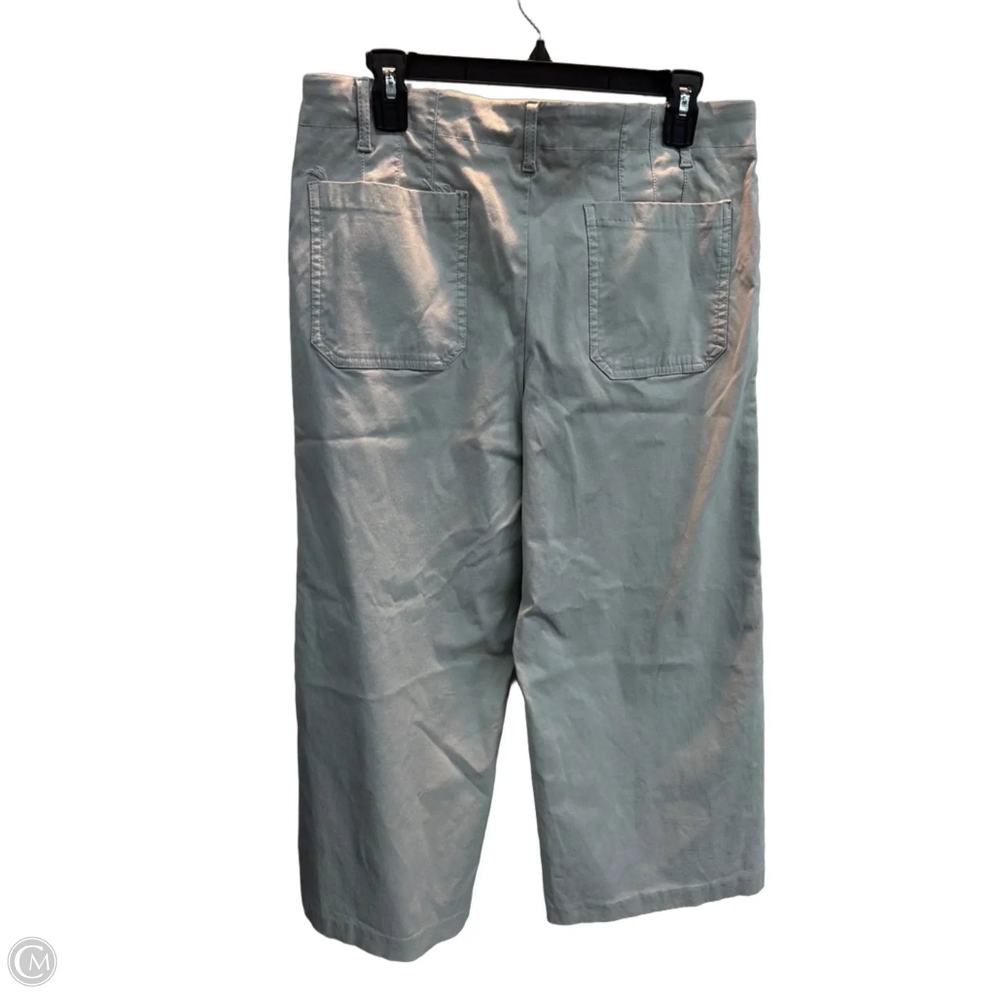 Pants Cargo & Utility By Clothes Mentor In Grey, Size: Xl