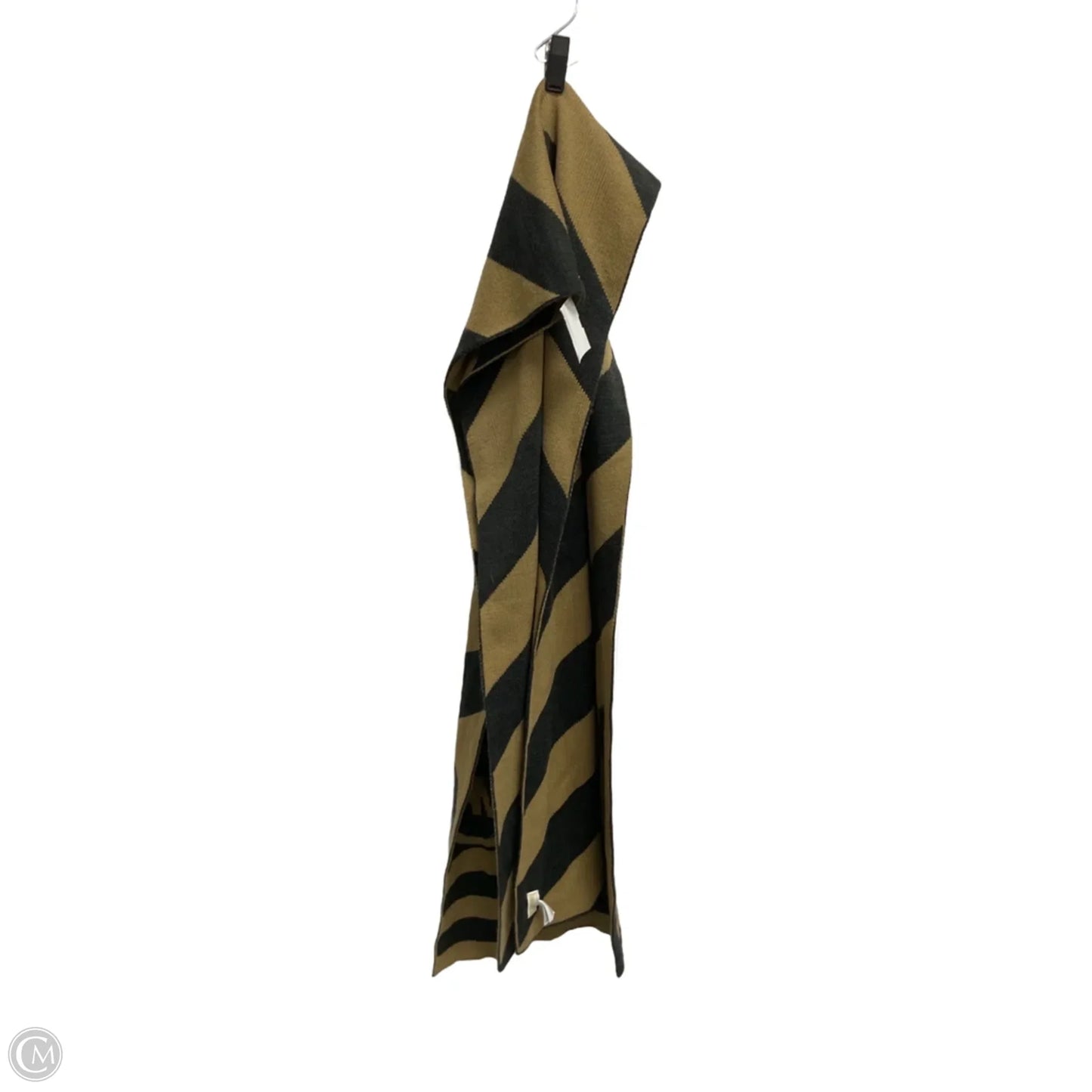 Scarf Winter By Michael By Michael Kors In Tan
