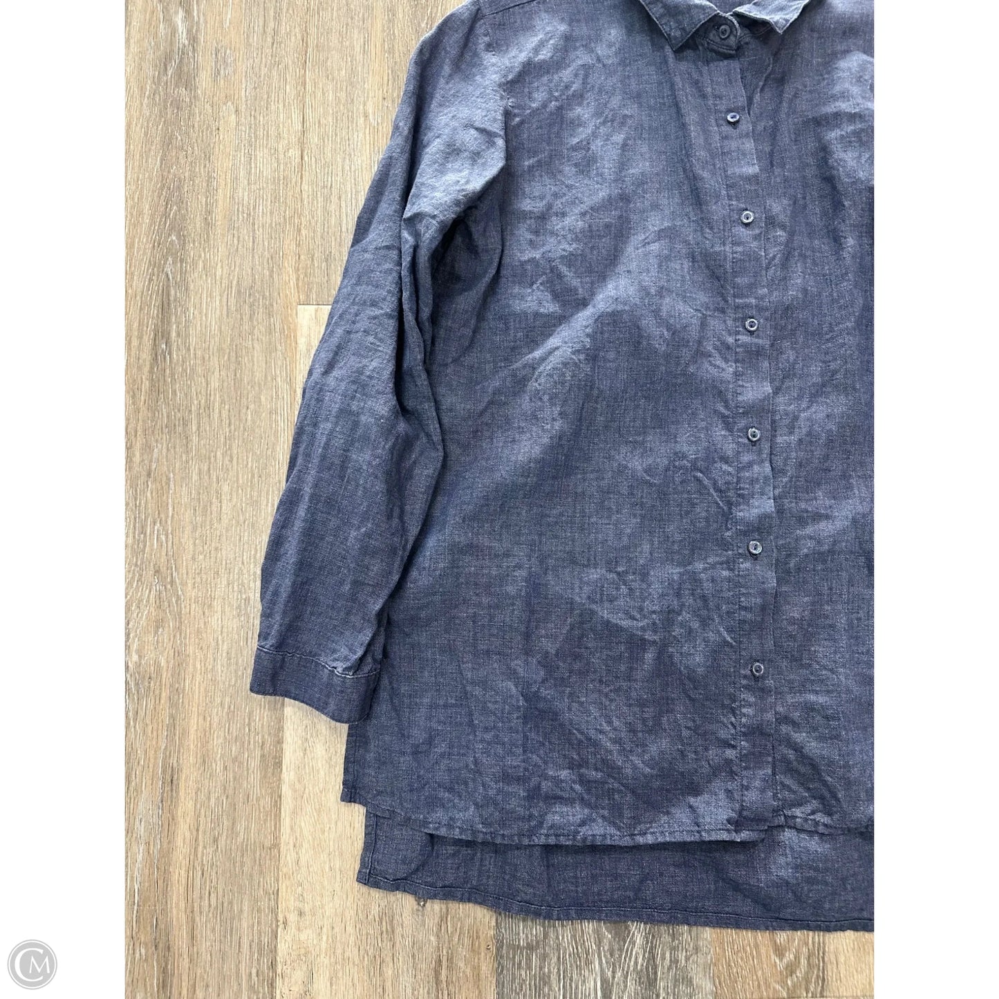 Blouse Long Sleeve By Eileen Fisher In Blue, Size: M