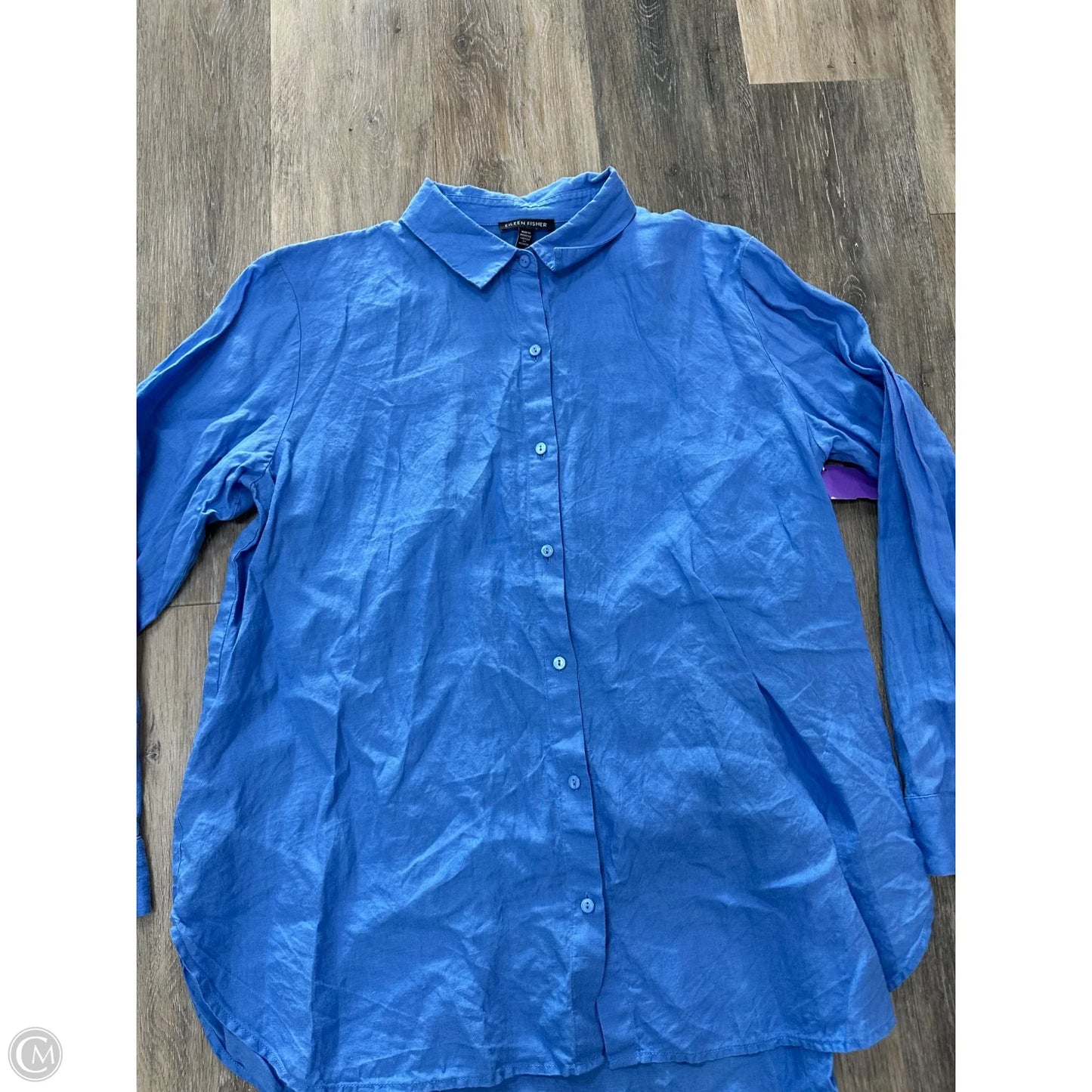 Blouse Long Sleeve By Eileen Fisher In Blue, Size: M
