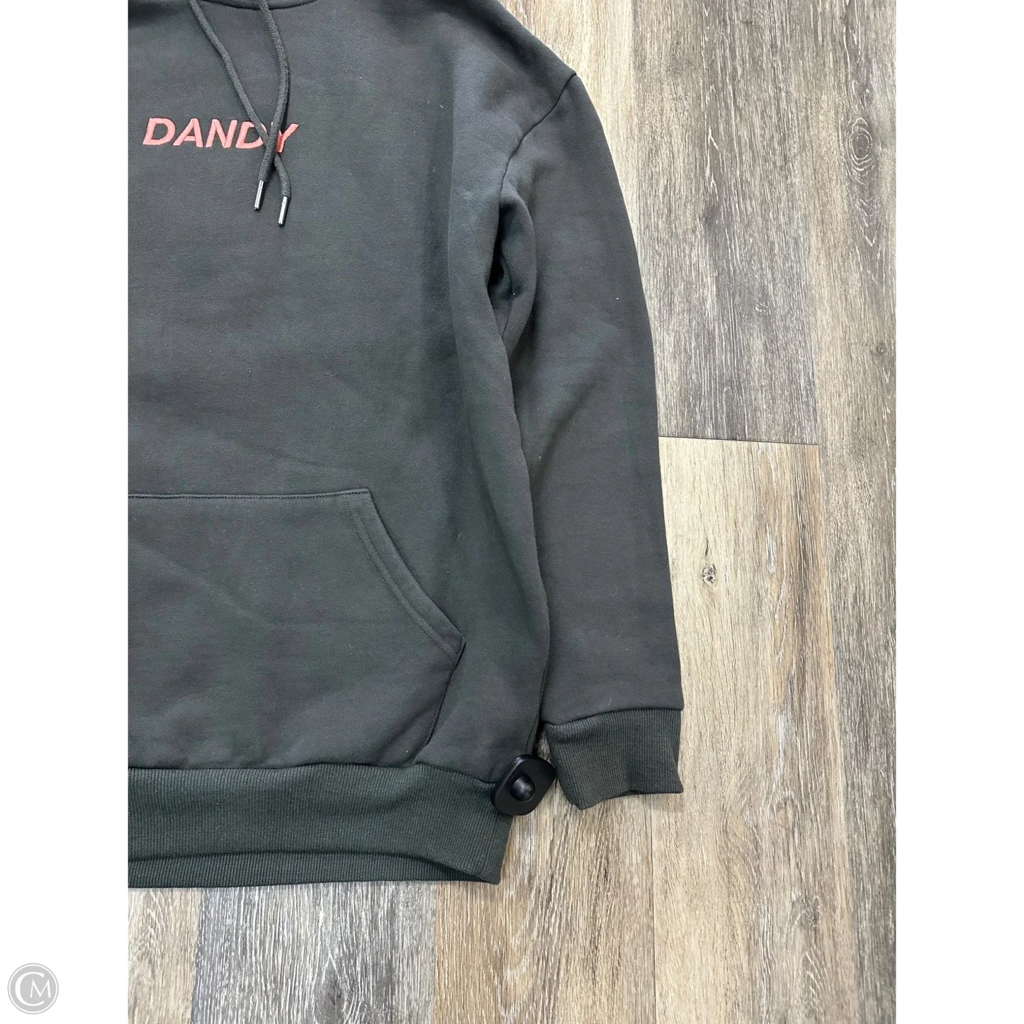Athletic Sweatshirt Hoodie By Dandy In Grey, Size: S