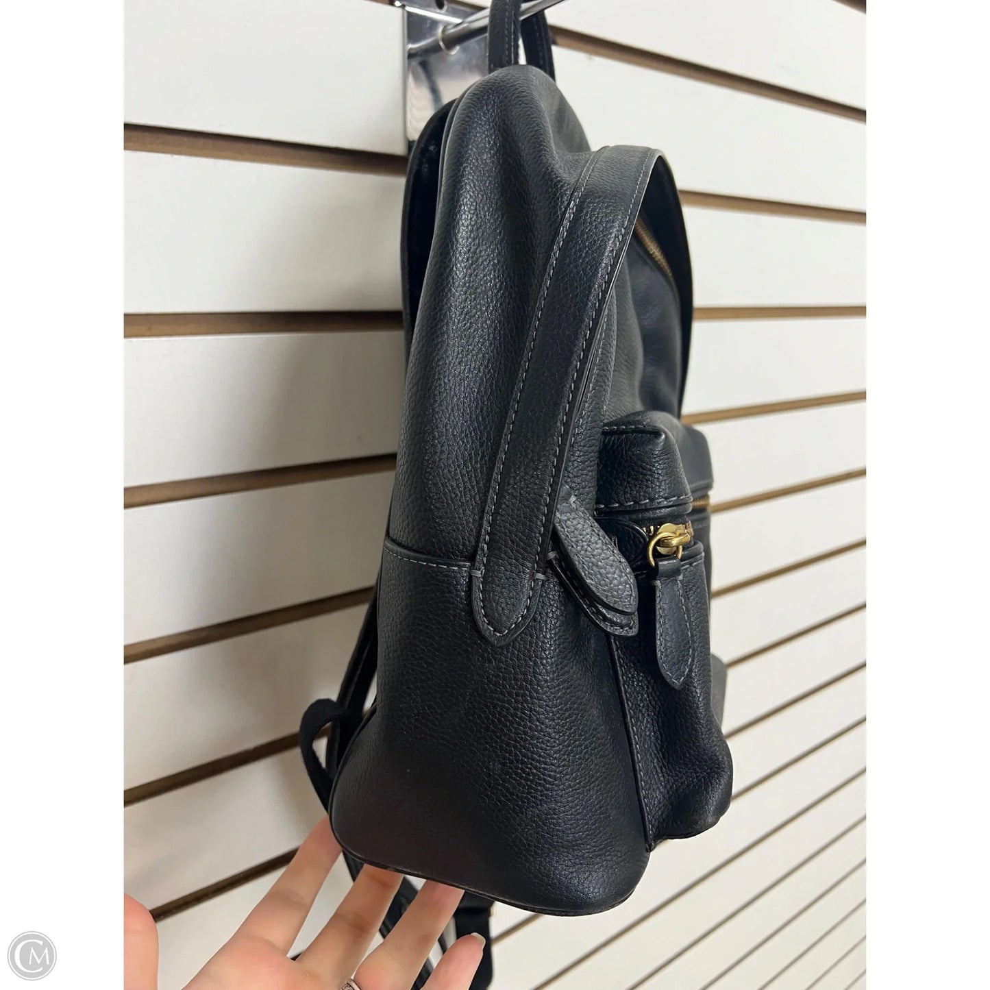 Backpack Designer By Coach, Size: Medium