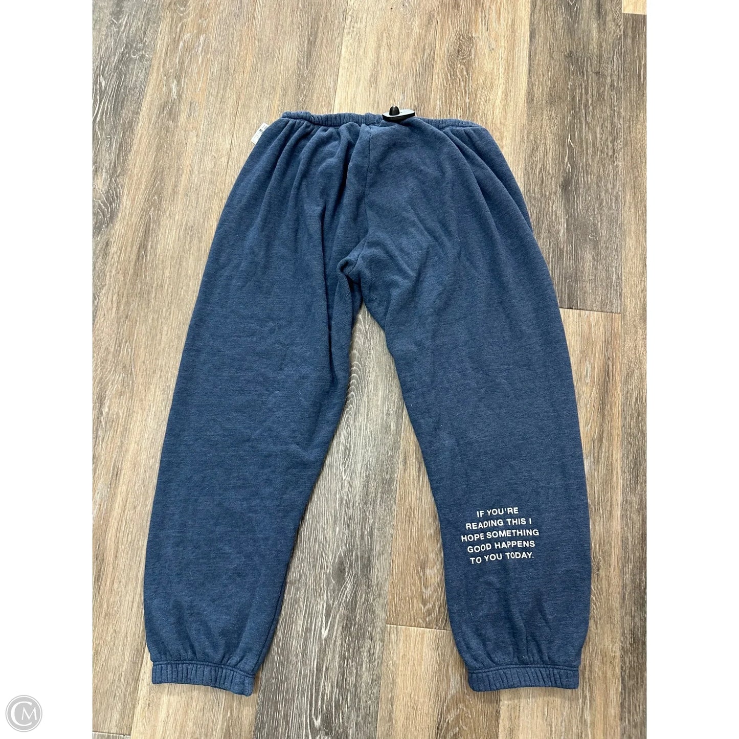 Athletic Pants By Spiritual Gangster In Blue, Size: L