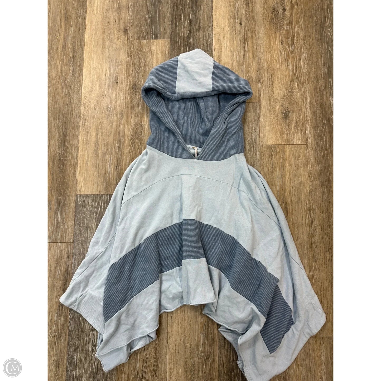 Sweatshirt Hoodie By Free People In Blue, Size: M