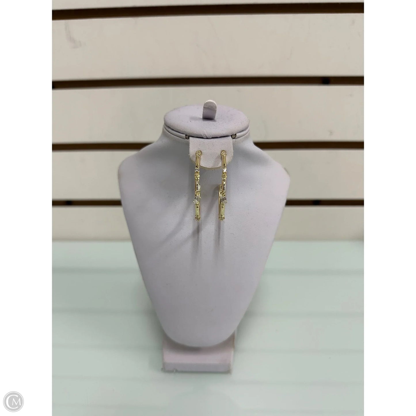 Earrings Hoop By Kendra Scott