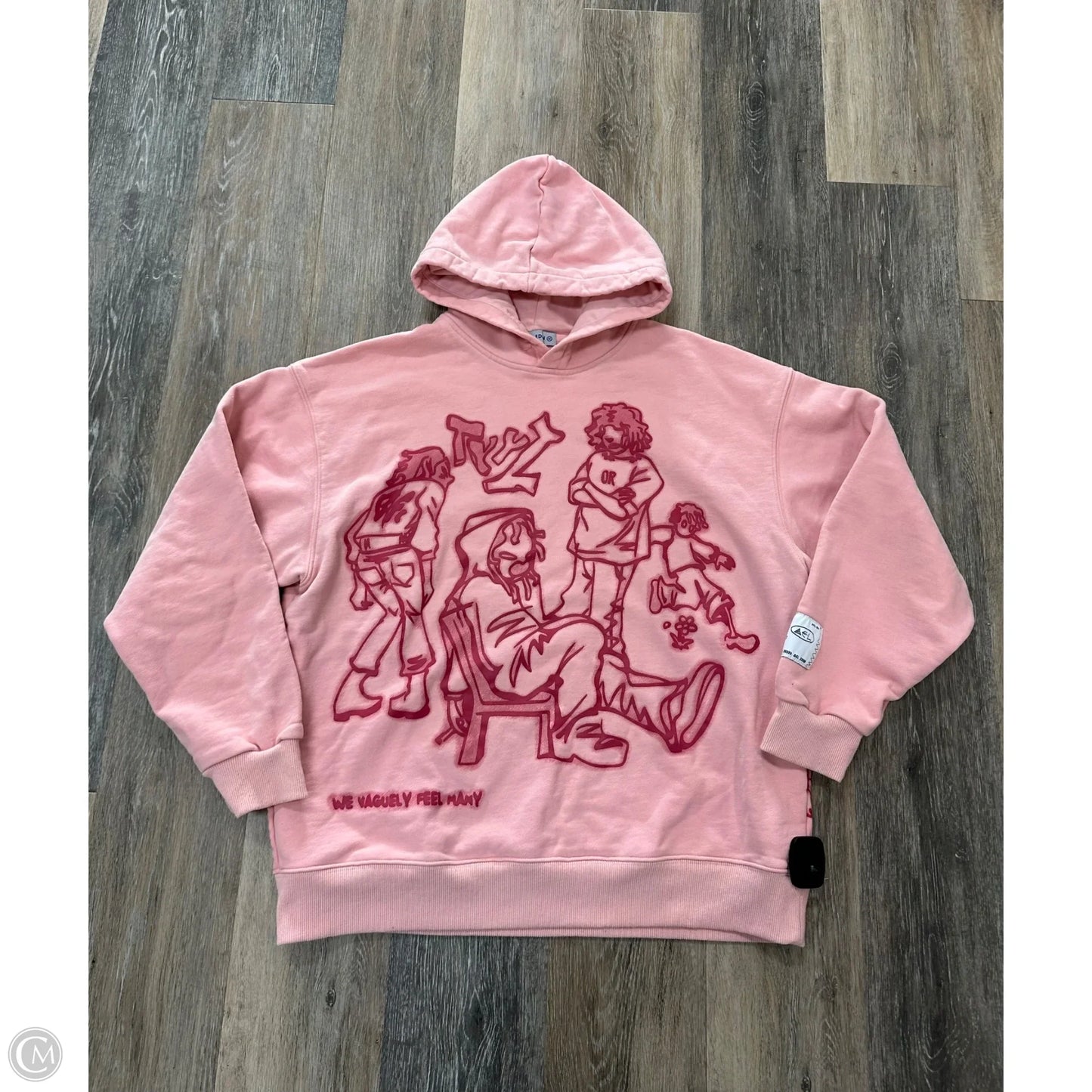 Sweatshirt Hoodie By Aelfric Eden In Pink, Size: M