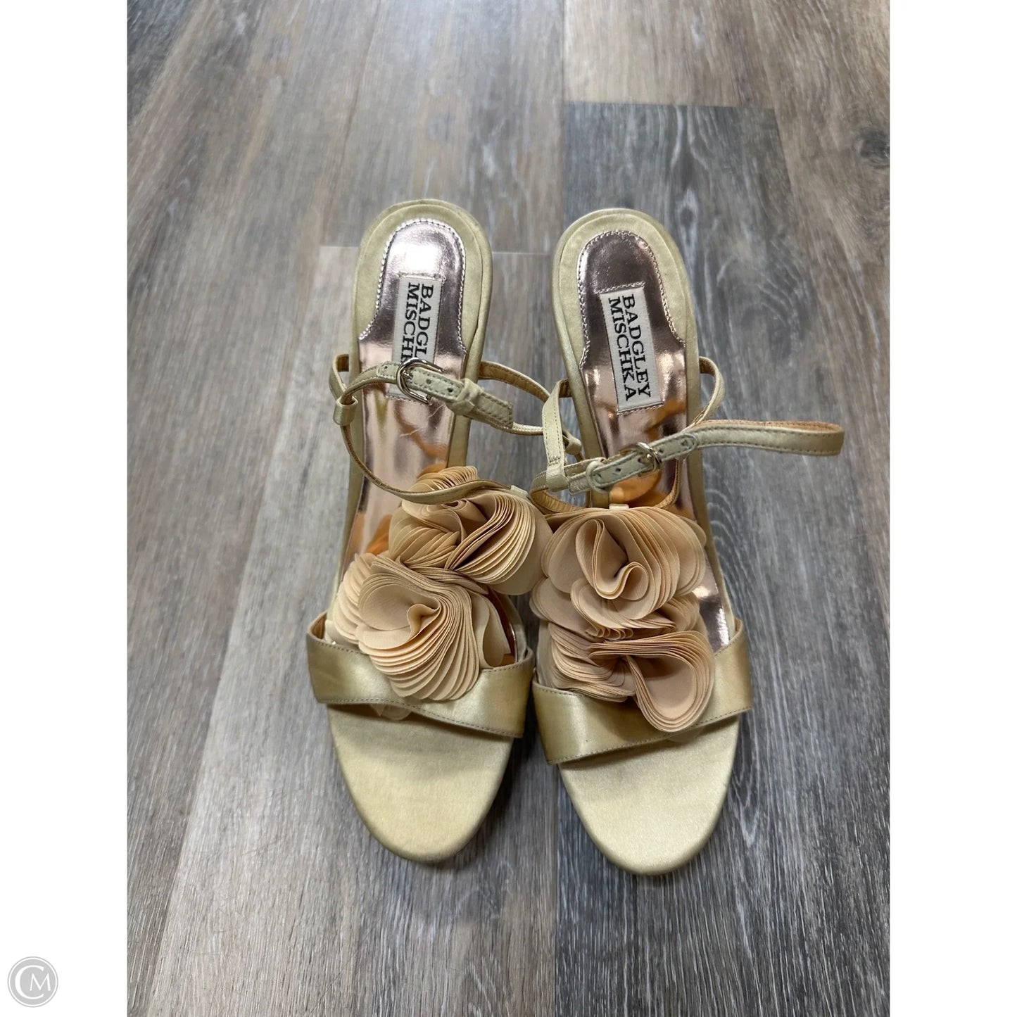 Shoes Heels Stiletto By Badgley Mischka In Gold, Size: 9.5