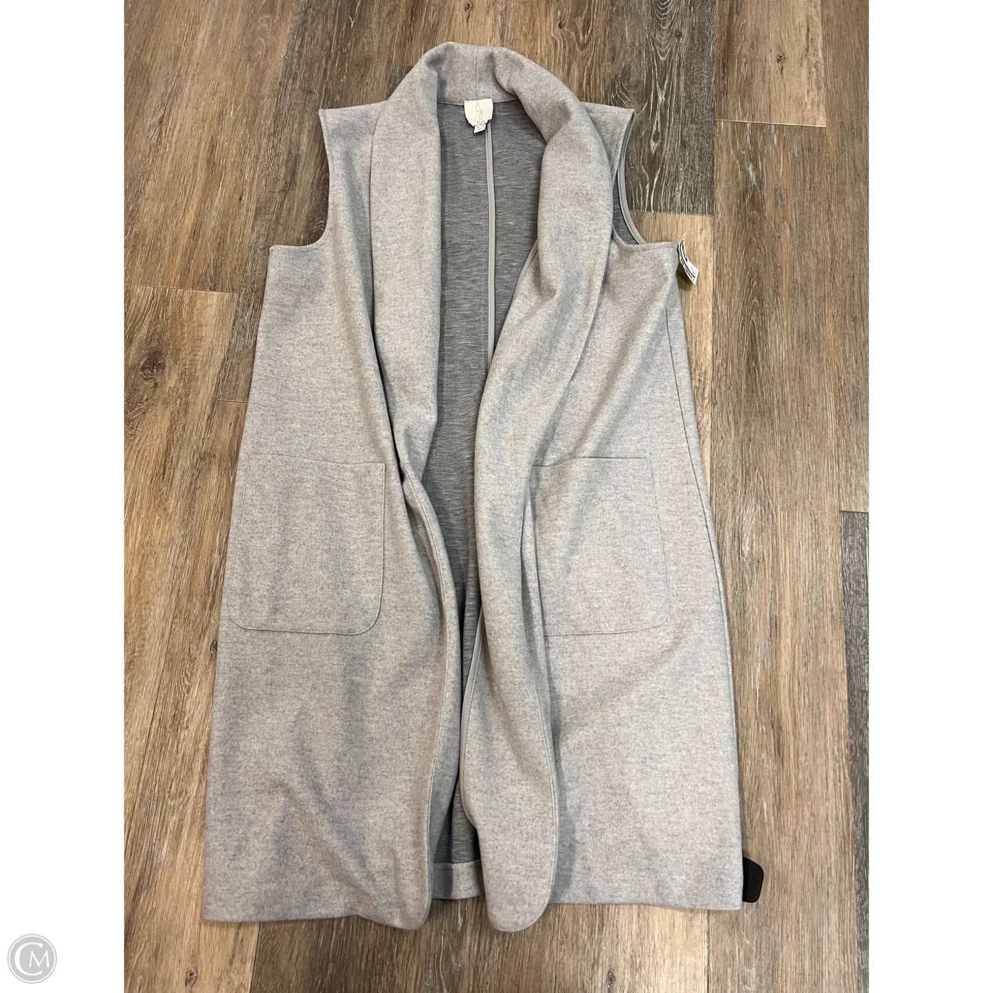 Vest Other By Joie In Grey, Size: Xl