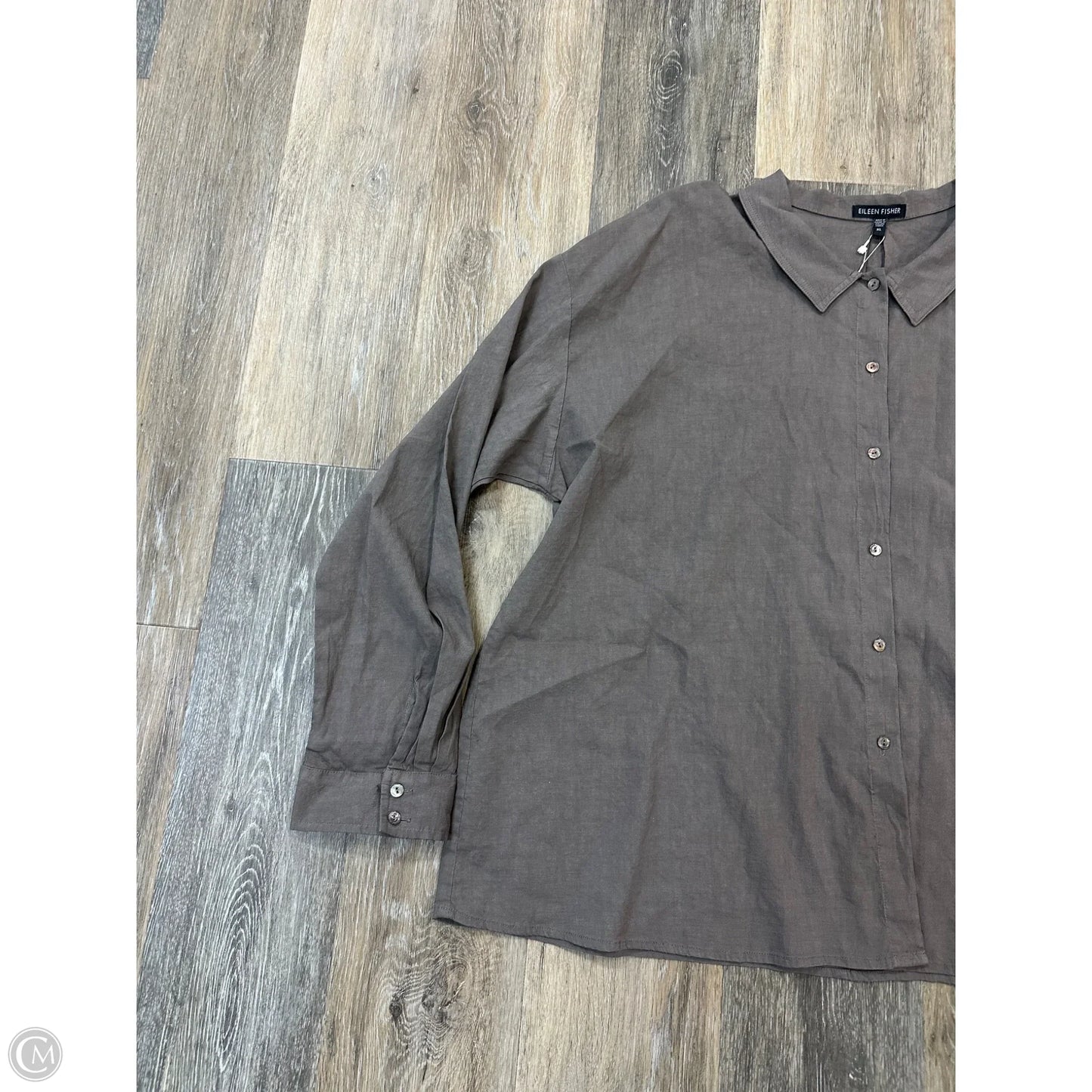 Blouse Long Sleeve By Eileen Fisher In Taupe, Size: Xl
