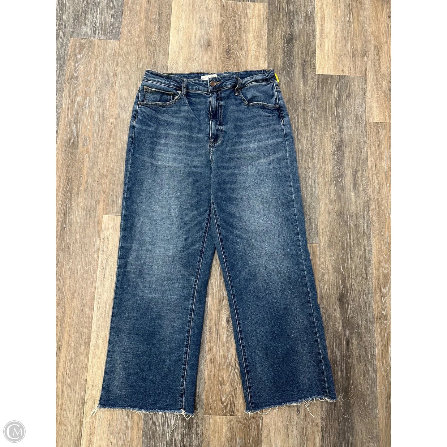 Jeans Wide Leg By Oliver Logan In Blue Denim, Size: 14