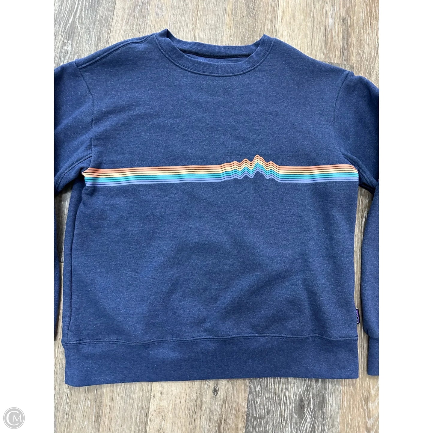 Athletic Sweatshirt Crewneck By Patagonia In Blue, Size: S