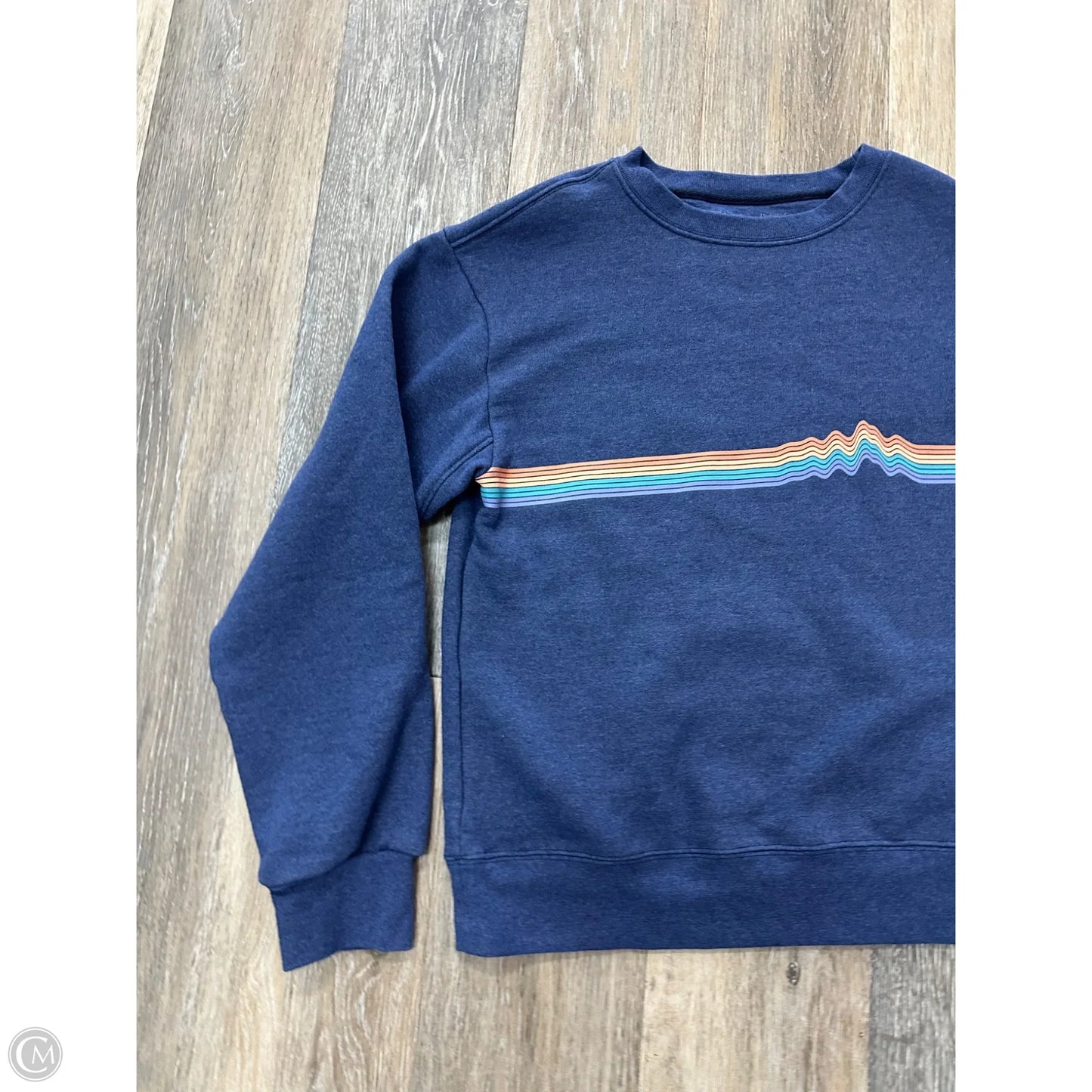 Athletic Sweatshirt Crewneck By Patagonia In Blue, Size: S
