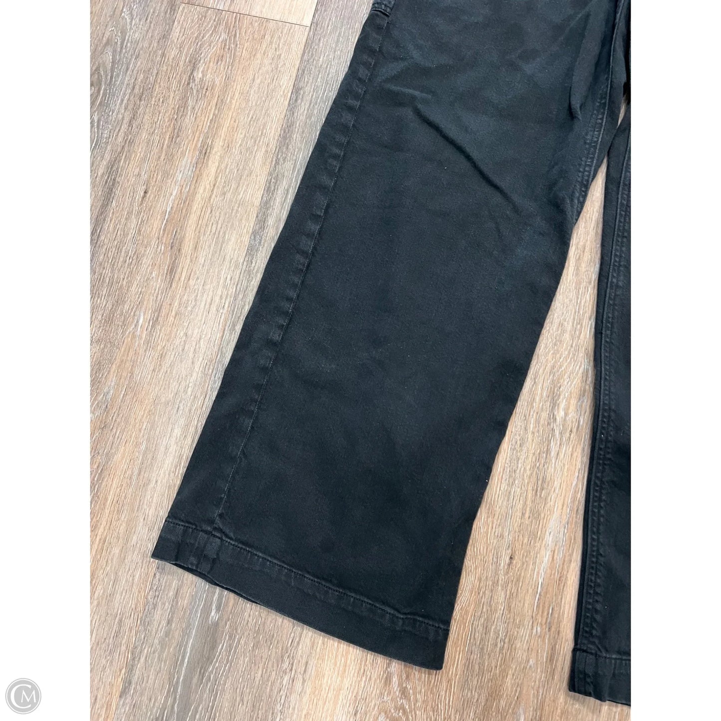 Pants Cargo & Utility By American Eagle In Black, Size: 12l