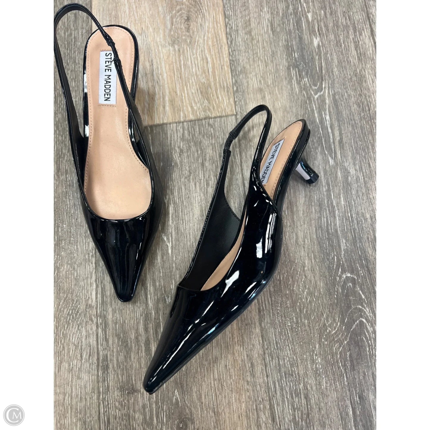 Shoes Heels Kitten By Steve Madden In Black, Size: 6