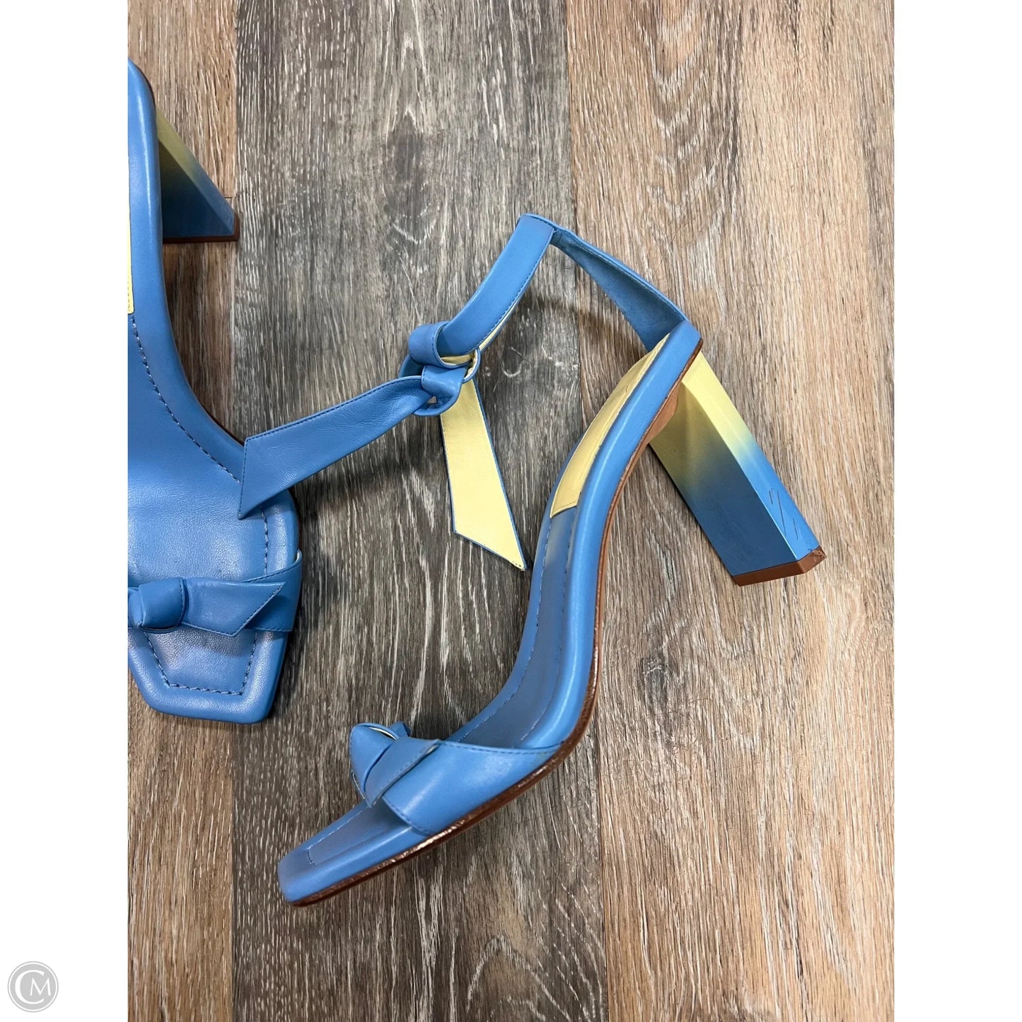 Sandals Designer By Alexandre Birman In Blue, Size: 10