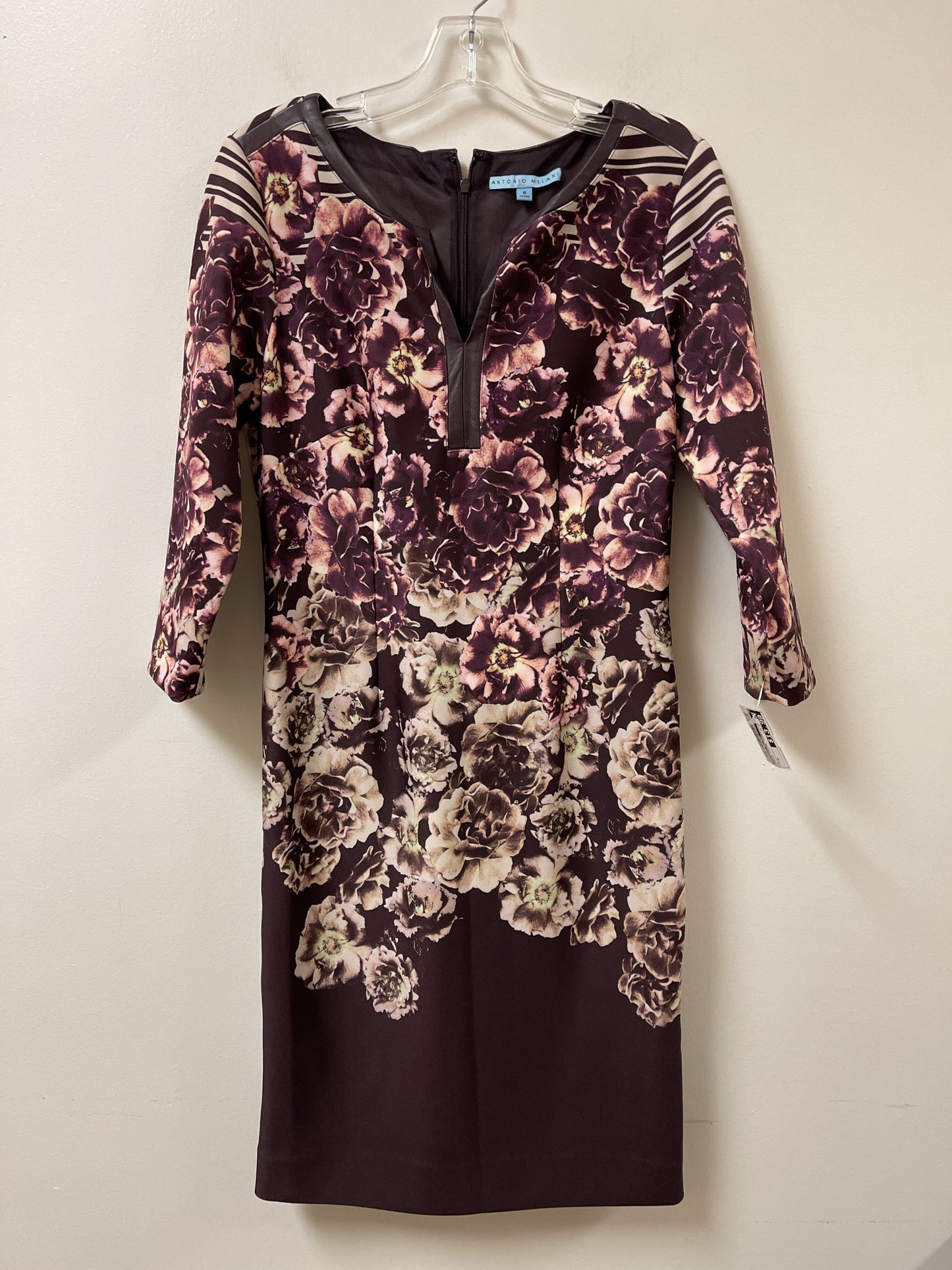 Dress Casual Short By Antonio Melani  Size: M