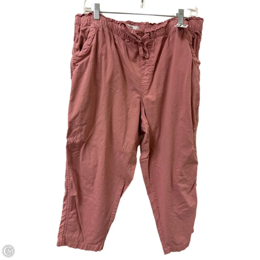 Pants Cargo & Utility By Sonoma In Pink, Size: Xl