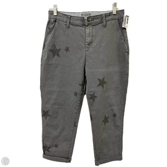 Pants Cargo & Utility By Easel In Grey, Size: M