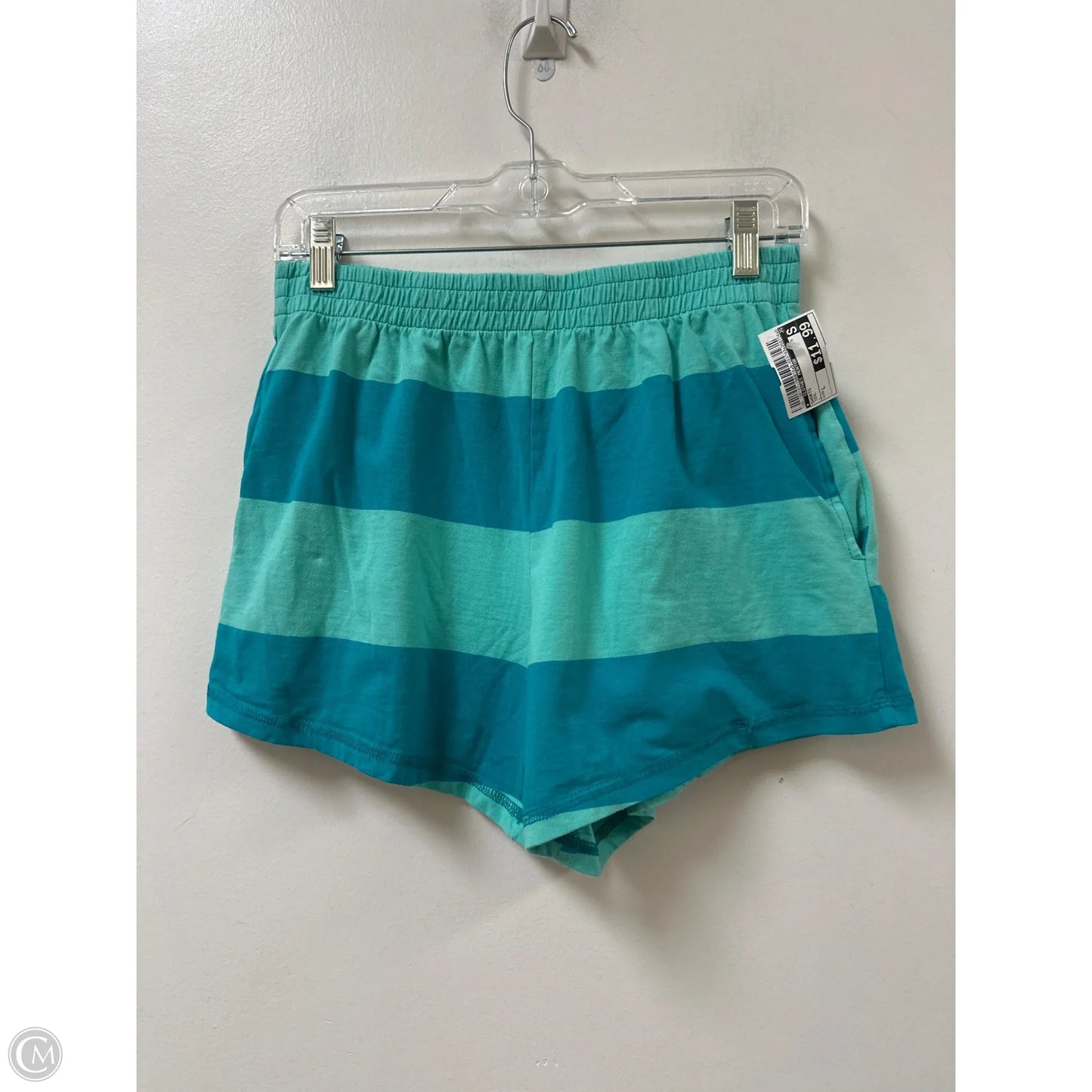 Shorts By Clothes Mentor In Teal, Size: L