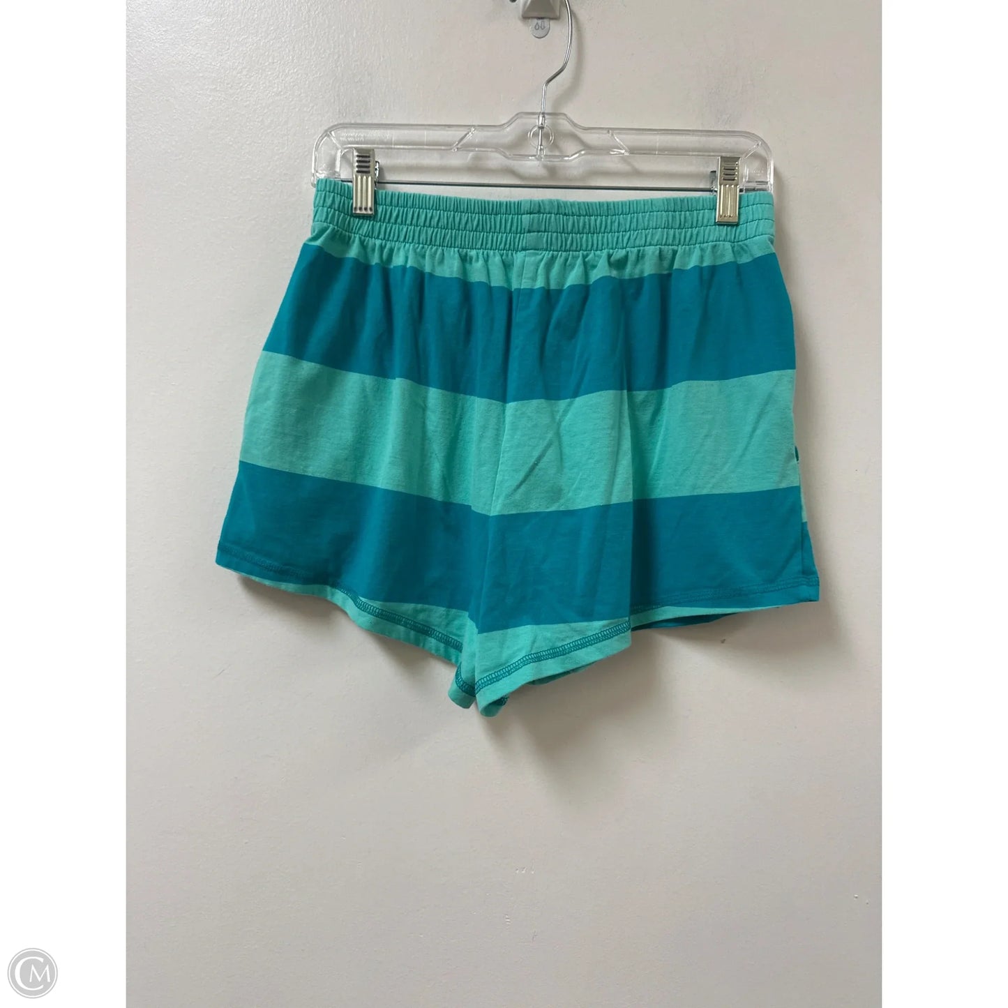 Shorts By Clothes Mentor In Teal, Size: L