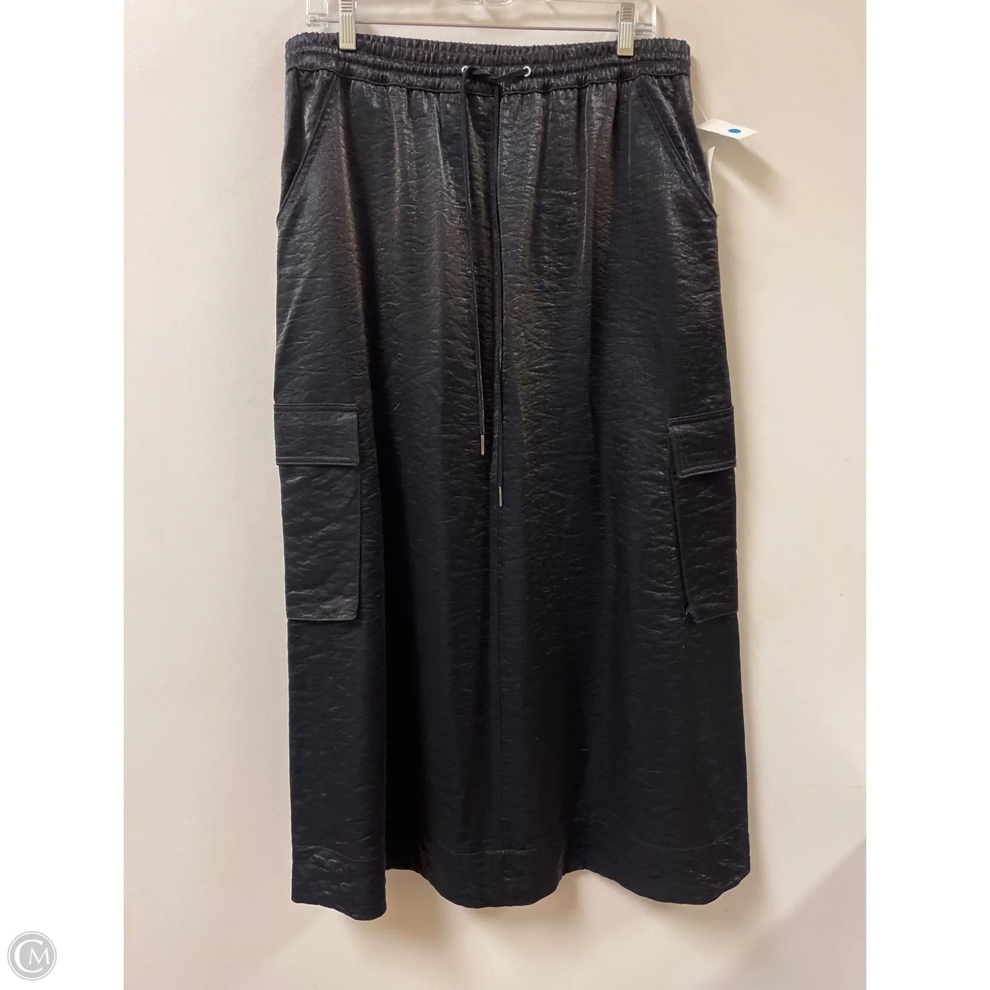 Skirt Maxi By Bar Iii In Black, Size: L