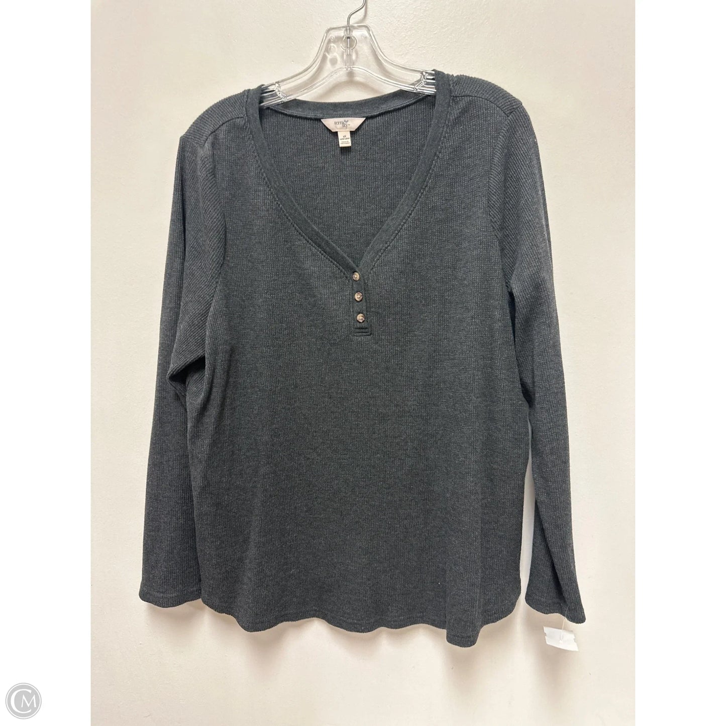 Top Long Sleeve By Terra & Sky In Grey, Size: 1x