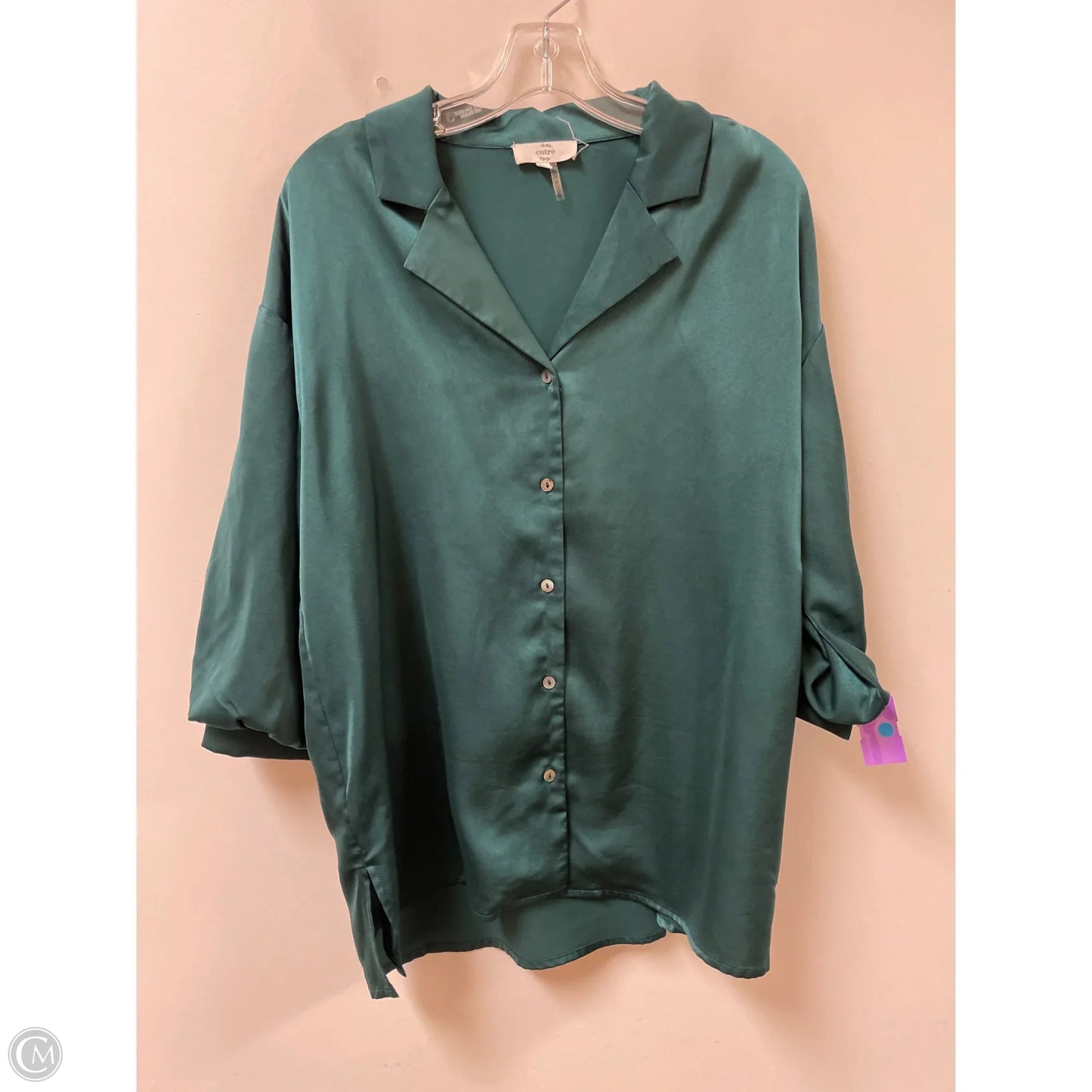 Blouse Long Sleeve By Entro In Green, Size: L