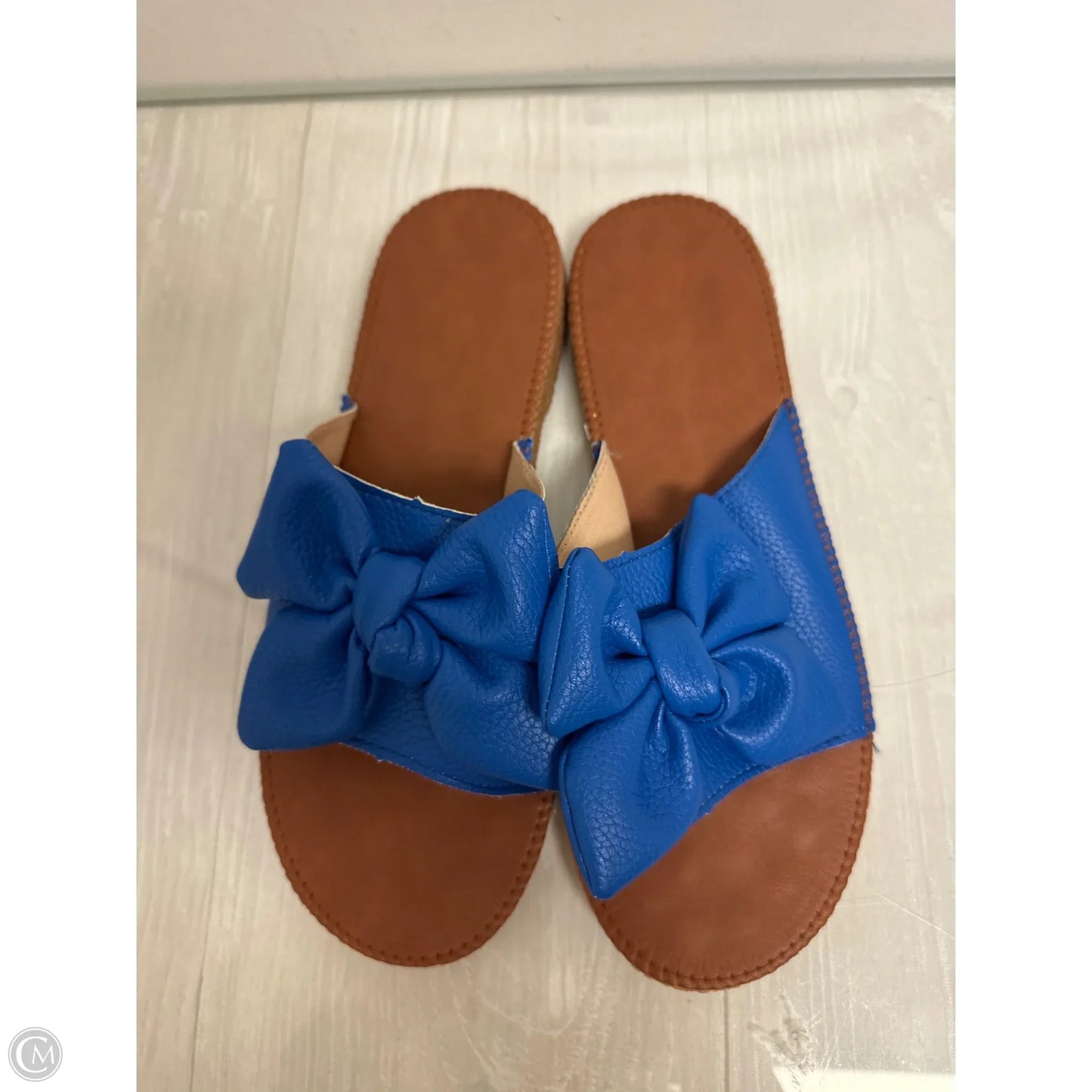 Sandals Flats By Clothes Mentor In Blue, Size: 9.5