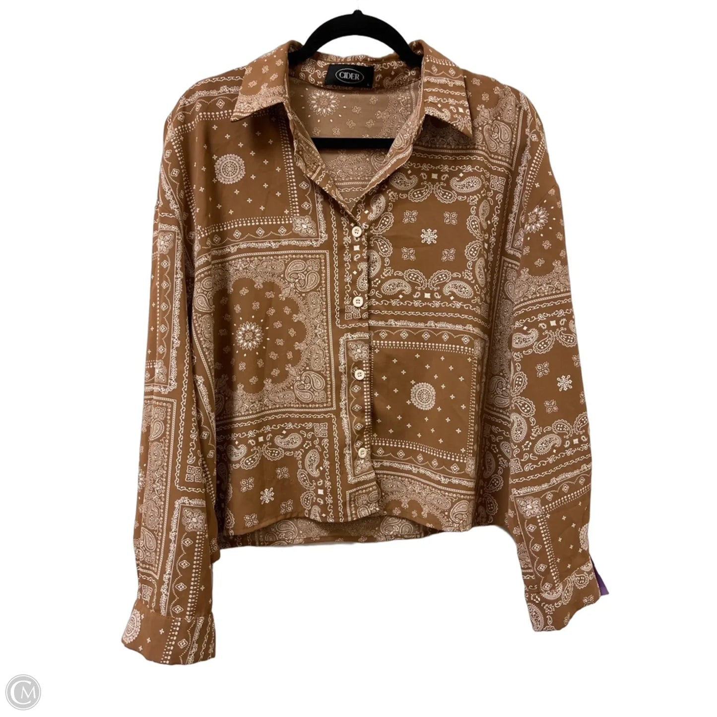 Blouse Long Sleeve By Cider In Tan, Size: L