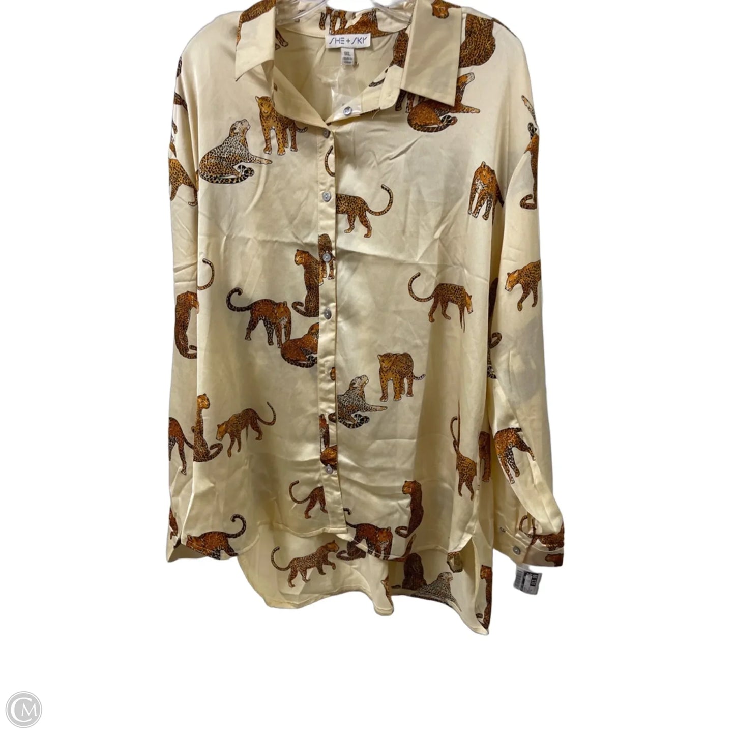 Blouse Long Sleeve By She + Sky In Yellow, Size: 1x
