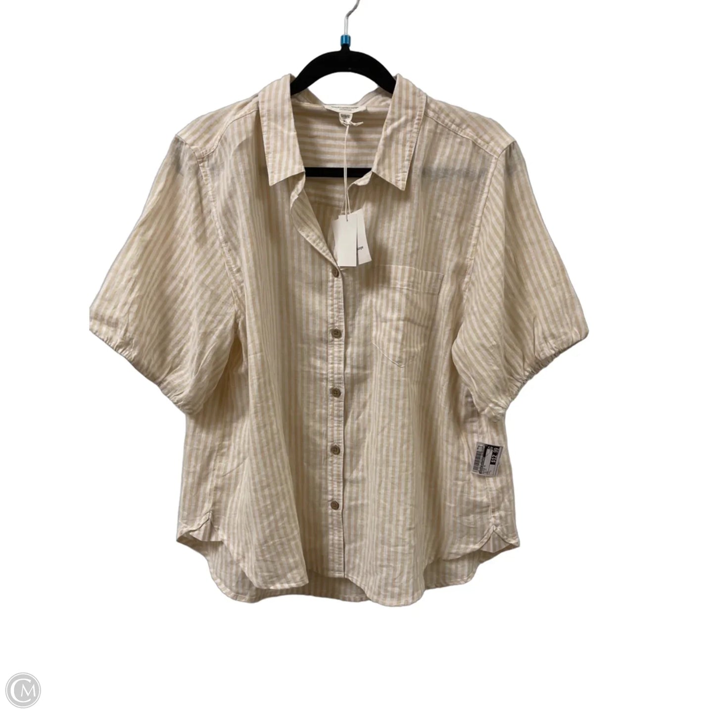 Blouse Short Sleeve By Beachlunchlounge In Yellow, Size: L