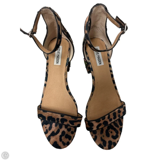 Sandals Flats By Steve Madden In Animal Print, Size: 9