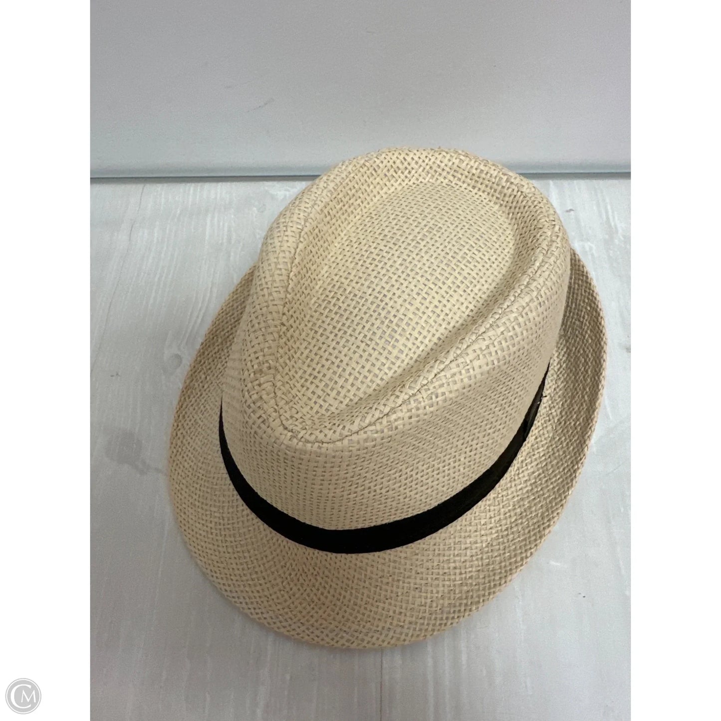 Hat Fedora By Clothes Mentor