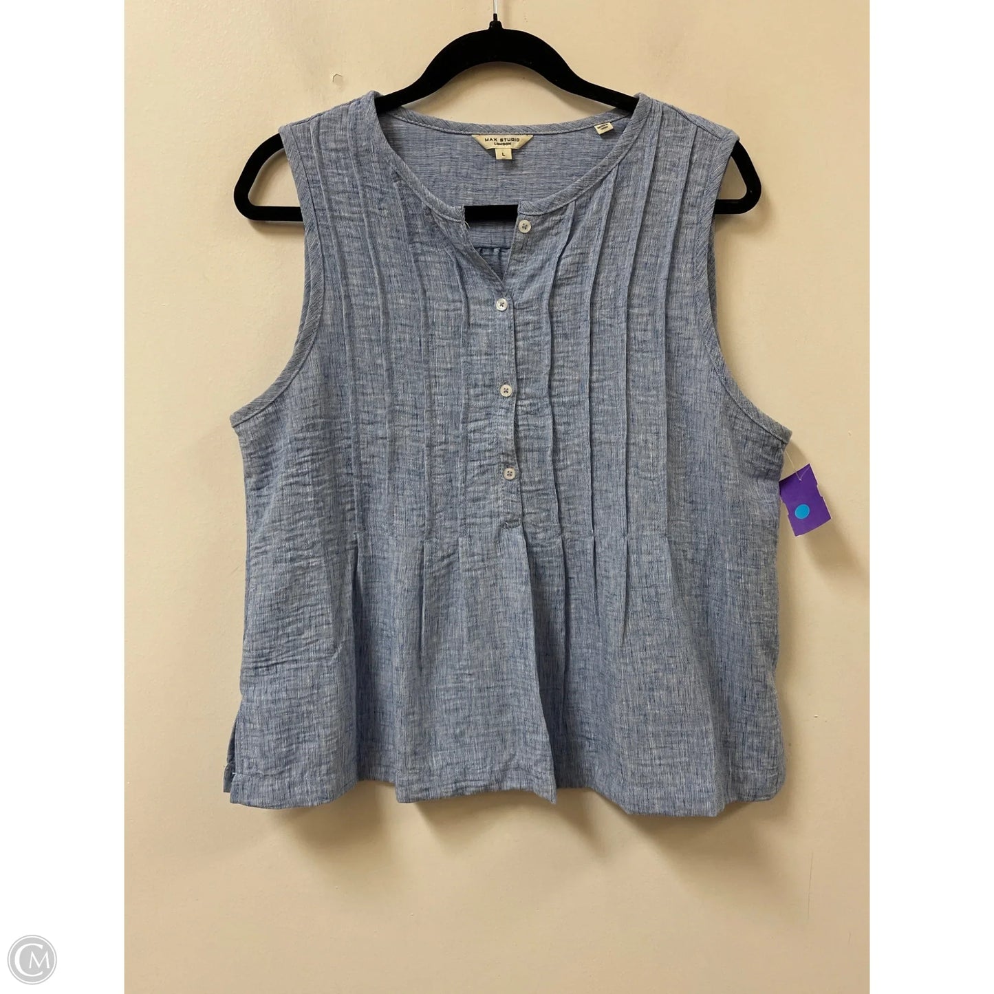 Top Sleeveless By Max Studio In Blue, Size: L