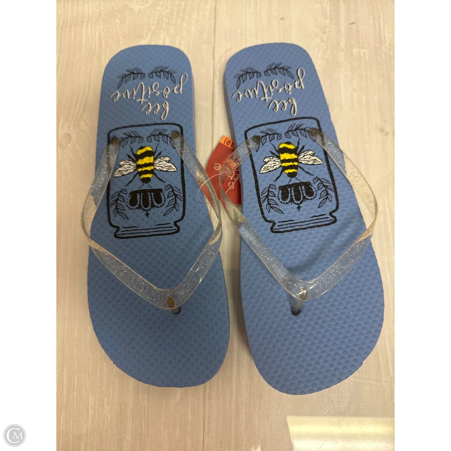Sandals Flip Flops By Clothes Mentor In Blue, Size: 9