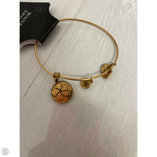 Bracelet Bangle By Alex And Ani