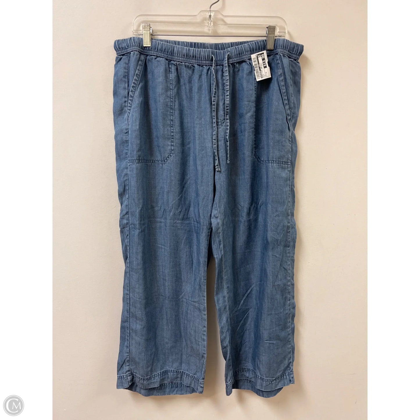 Pants Wide Leg By Splendid In Blue, Size: 16