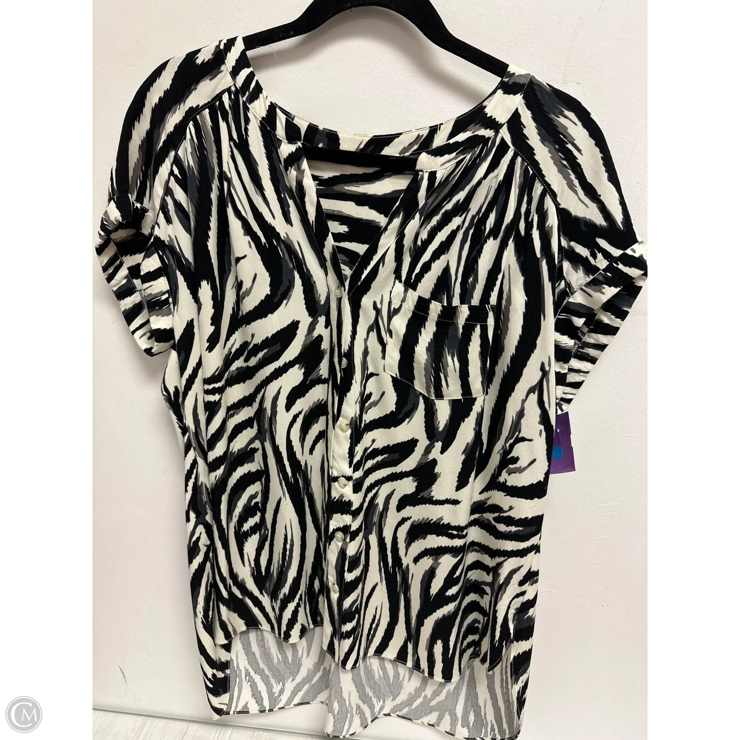 Blouse Short Sleeve By Clothes Mentor In Black & Cream, Size: L