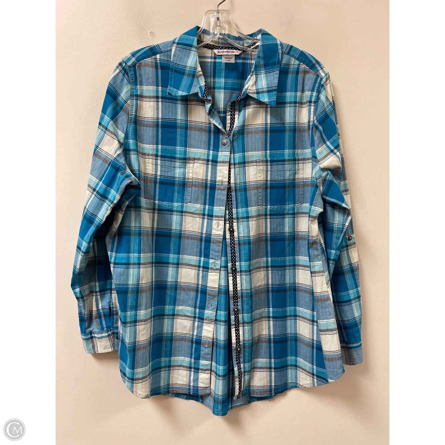 Blouse Long Sleeve By Allison Daley In Blue & White, Size: L