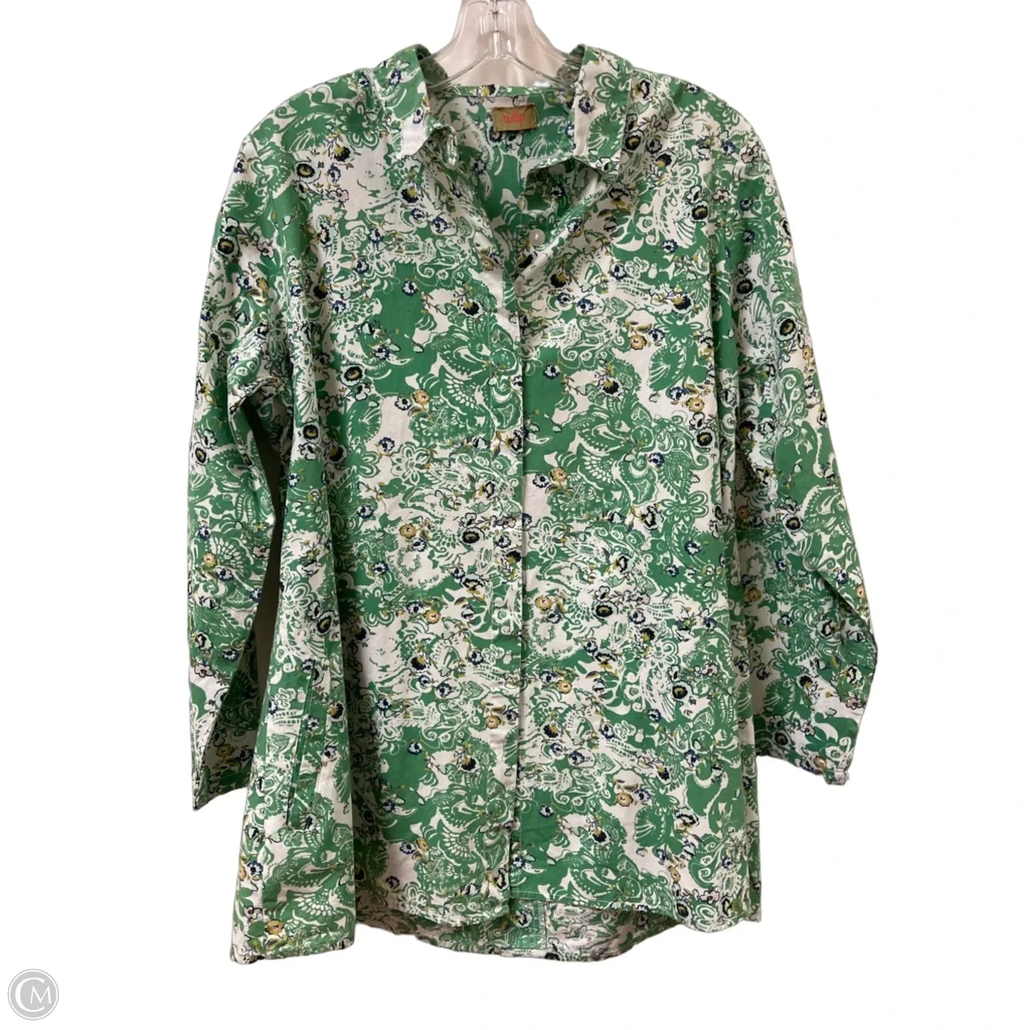Blouse Long Sleeve By Clothes Mentor In Green & White, Size: L