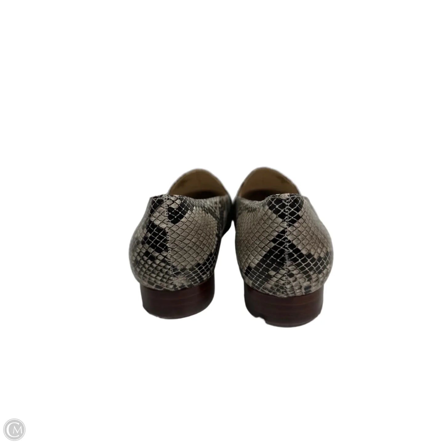 Shoes Flats By Marc Fisher In Snakeskin Print, Size: 9