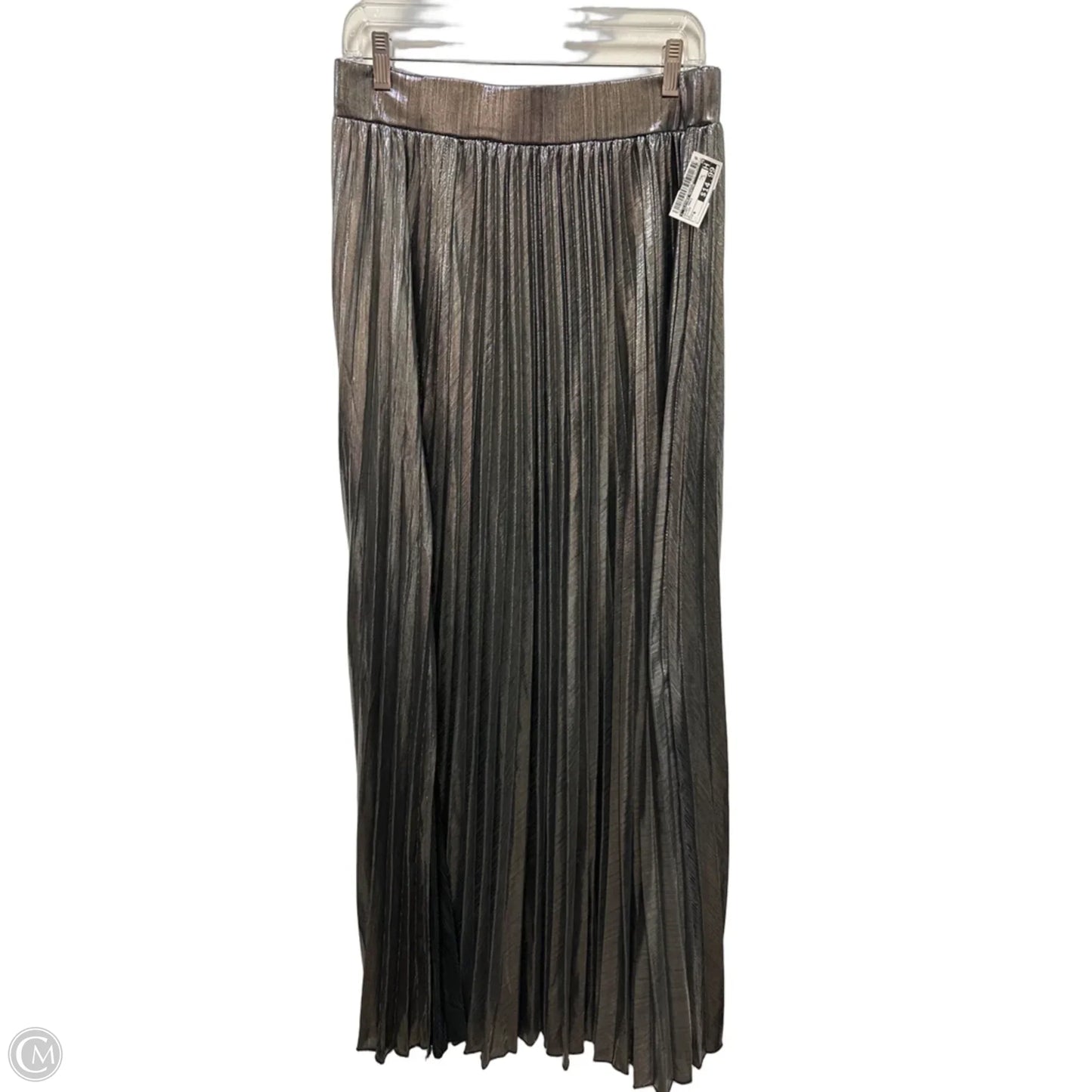 Skirt Maxi By Clothes Mentor In Silver, Size: 6