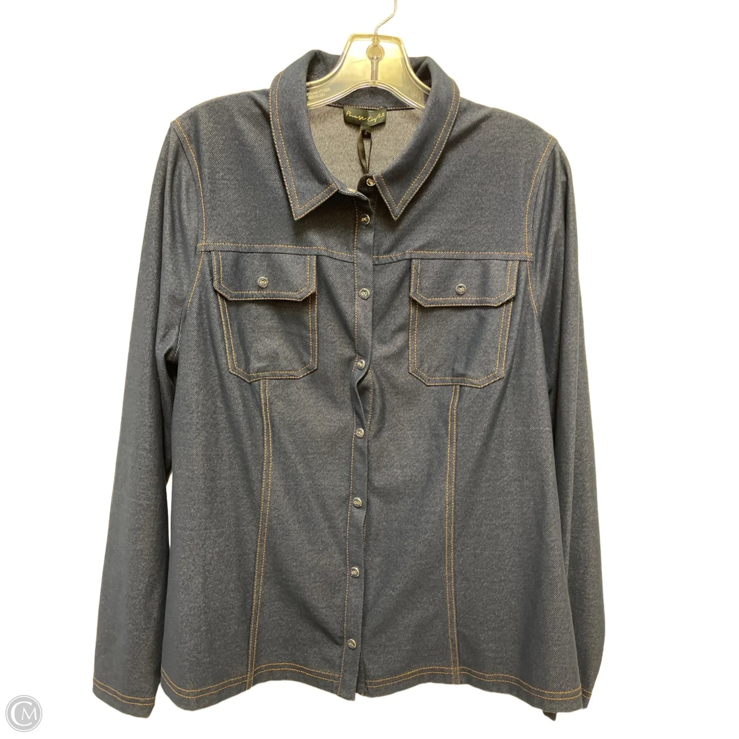 Blouse Long Sleeve By Clothes Mentor In Blue, Size: L