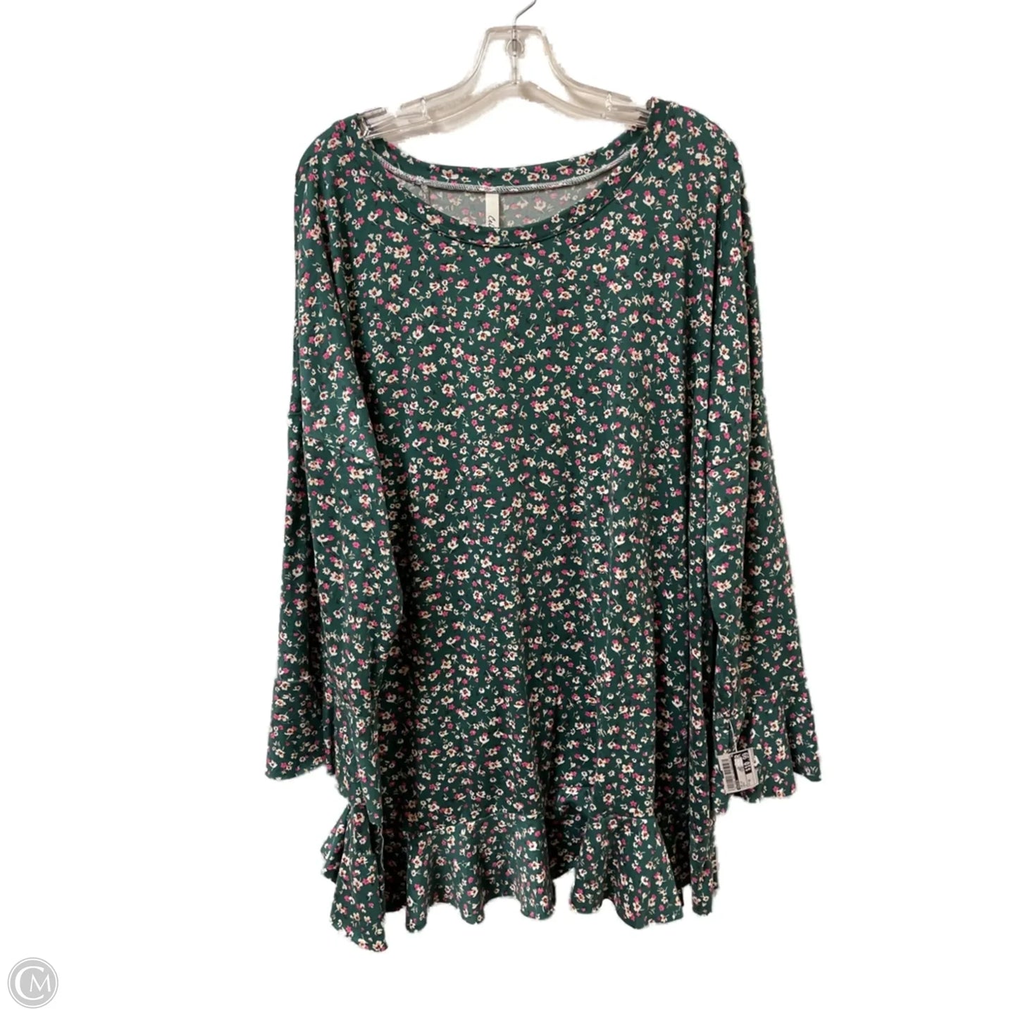 Top Long Sleeve By Celeste In Green, Size: 3x