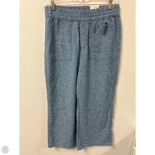 Pants Other By St Johns Bay In Blue, Size: 12
