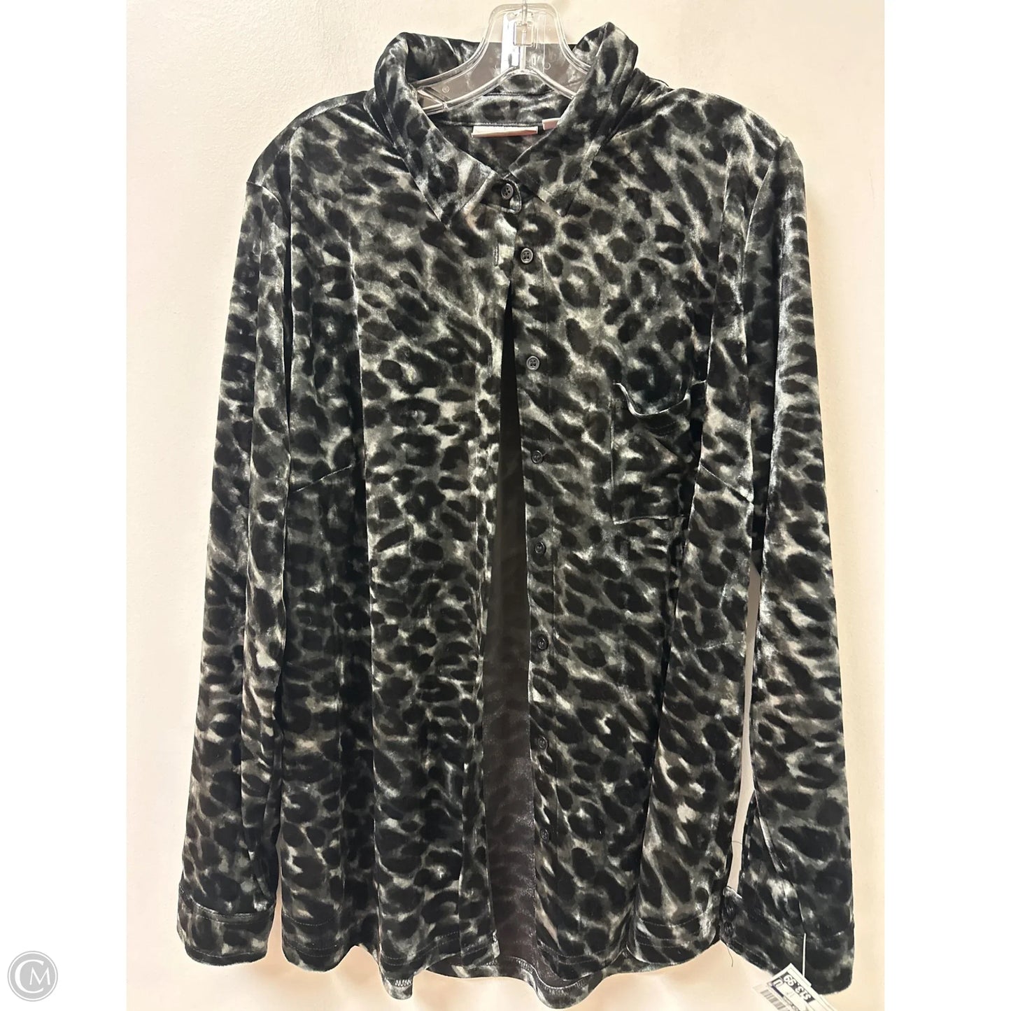 Blouse Long Sleeve By Belle By Kim Gravel In Animal Print, Size: L