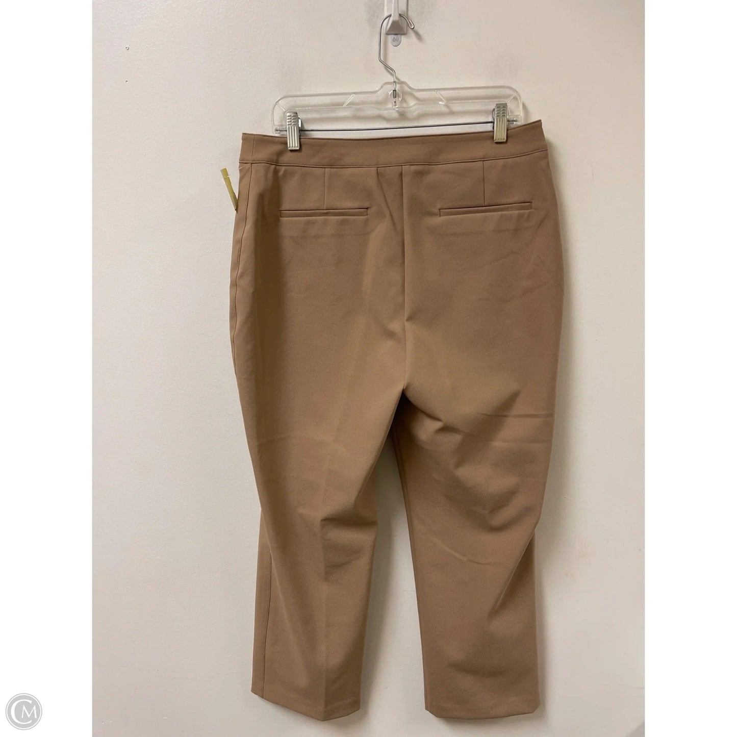 Pants Other By Rachel Zoe In Brown, Size: 12