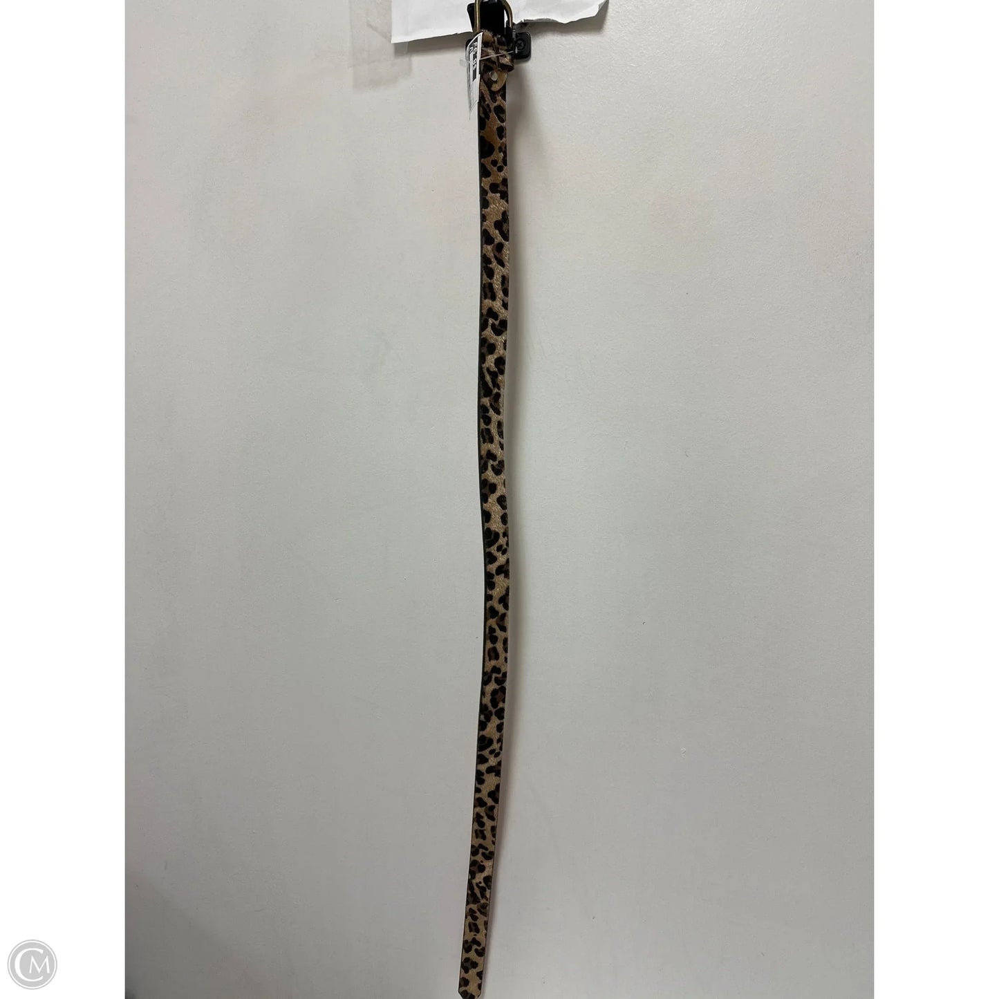 Belt By Clothes Mentor