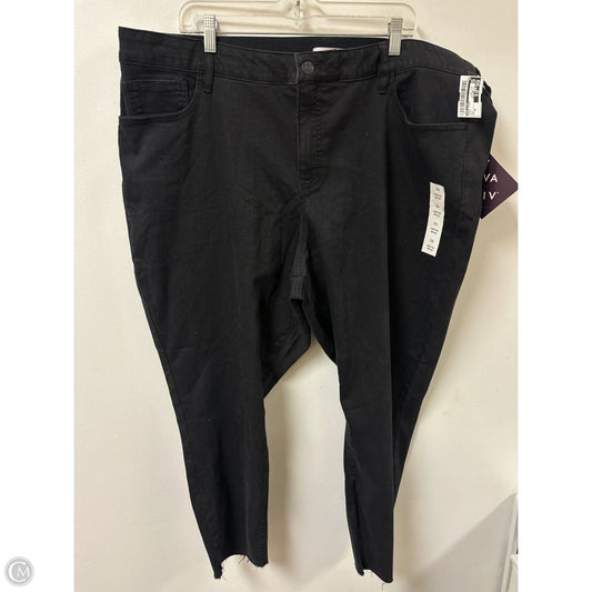 Pants Other By Ava & Viv In Black, Size: 26